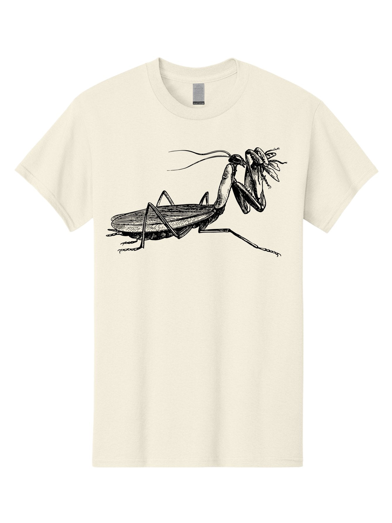 Mantis-Eating-Fly Men'S Graphic Tee, 100% Cotton, Comfortable Casual Summer Wear, Machine Washable, Praying Mantis Eating A Fly, Insect Predator, Detailed Illustration, Black And Green, Entomology Art, Wildlife Photography, Insect Behavior Aab544