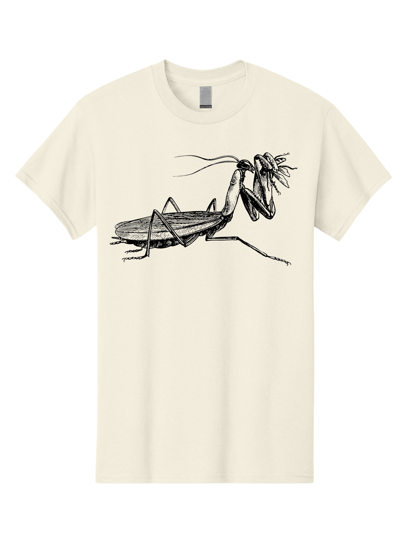 Mantis-Eating-Fly Men'S Graphic Tee, 100% Cotton, Comfortable Casual Summer Wear, Machine Washable, Praying Mantis Eating A Fly, Insect Predator, Detailed Illustration, Black And Green, Entomology Art, Wildlife Photography, Insect Behavior Aab544 17