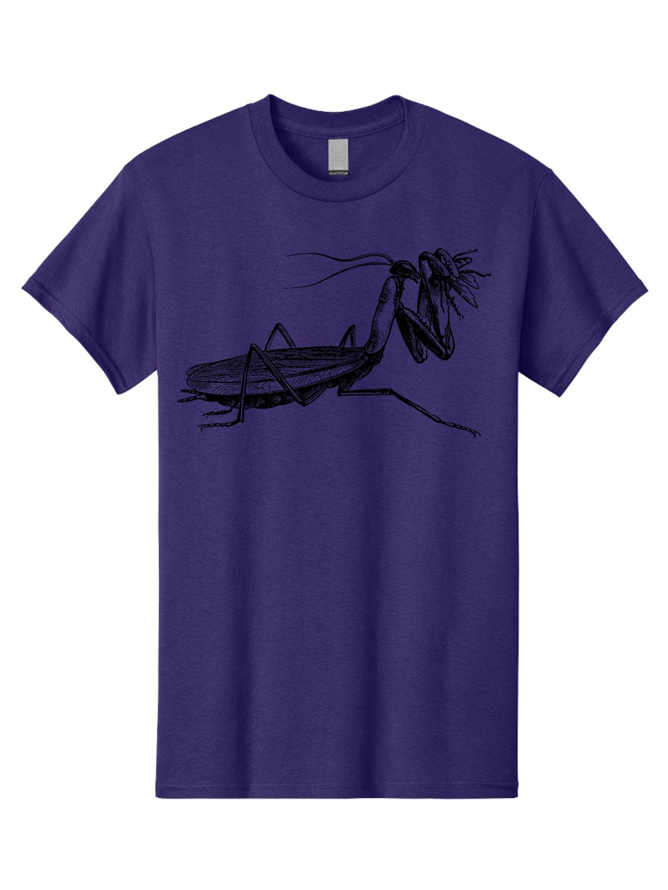 Mantis-Eating-Fly Men'S Graphic Tee, 100% Cotton, Comfortable Casual Summer Wear, Machine Washable, Praying Mantis Eating A Fly, Insect Predator, Detailed Illustration, Black And Green, Entomology Art, Wildlife Photography, Insect Behavior Aab544 10