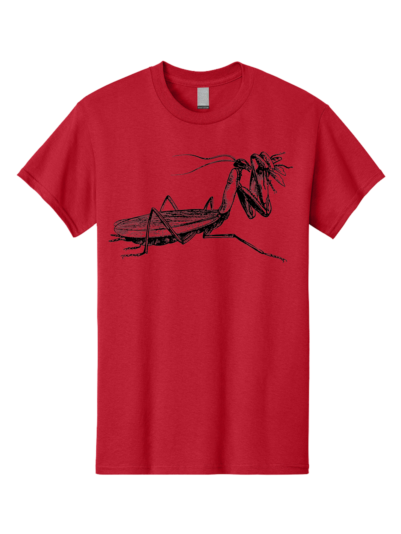 Mantis-Eating-Fly Men'S Graphic Tee, 100% Cotton, Comfortable Casual Summer Wear, Machine Washable, Praying Mantis Eating A Fly, Insect Predator, Detailed Illustration, Black And Green, Entomology Art, Wildlife Photography, Insect Behavior Aab544 23