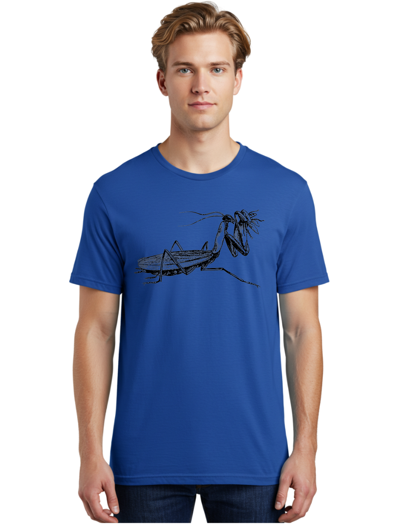 Mantis-Eating-Fly Men'S Graphic Tee, 100% Cotton, Comfortable Casual Summer Wear, Machine Washable, Praying Mantis Eating A Fly, Insect Predator, Detailed Illustration, Black And Green, Entomology Art, Wildlife Photography, Insect Behavior Aab544 26