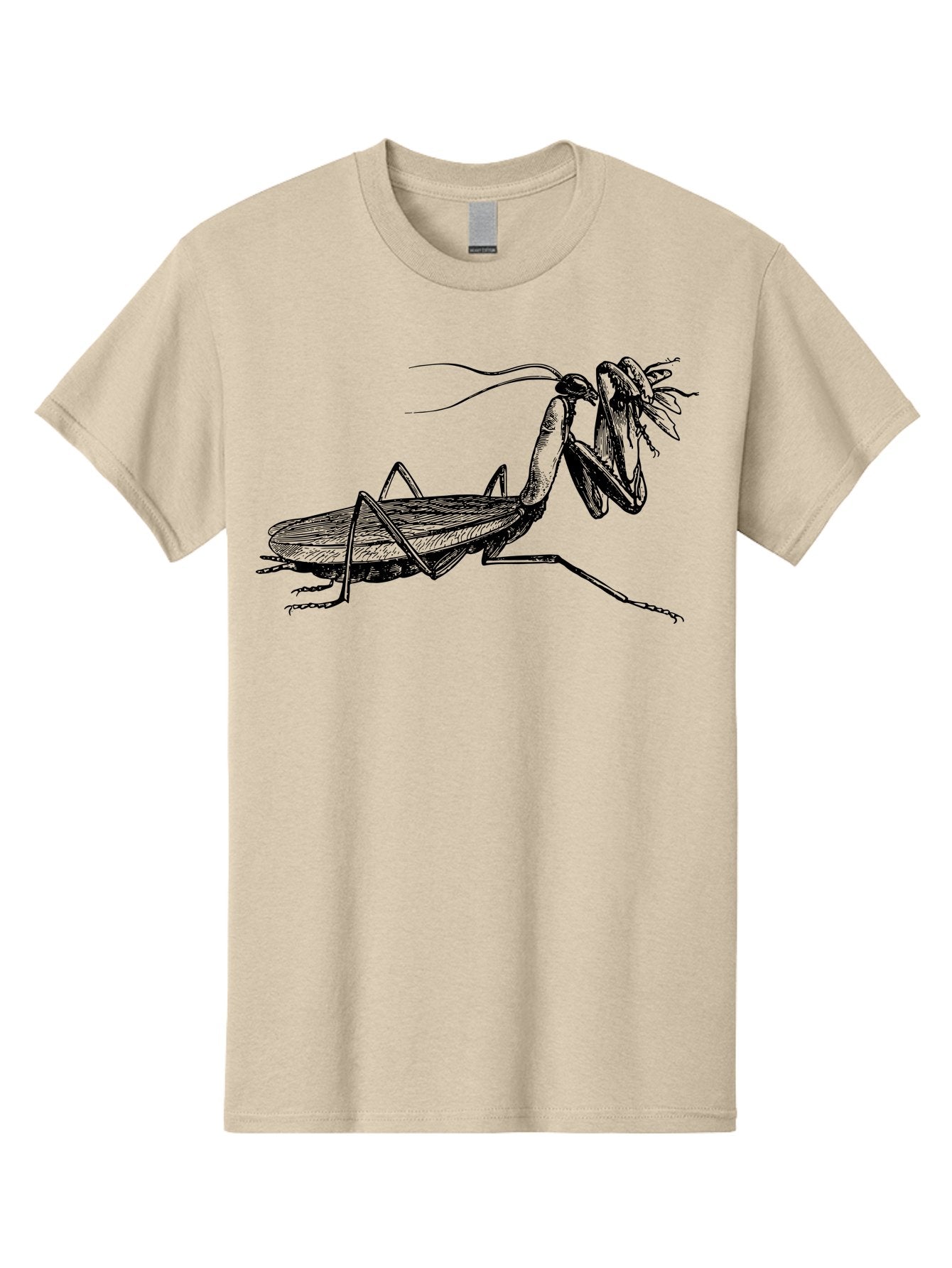 Mantis-Eating-Fly Men'S Graphic Tee, 100% Cotton, Comfortable Casual Summer Wear, Machine Washable, Praying Mantis Eating A Fly, Insect Predator, Detailed Illustration, Black And Green, Entomology Art, Wildlife Photography, Insect Behavior Aab544 5