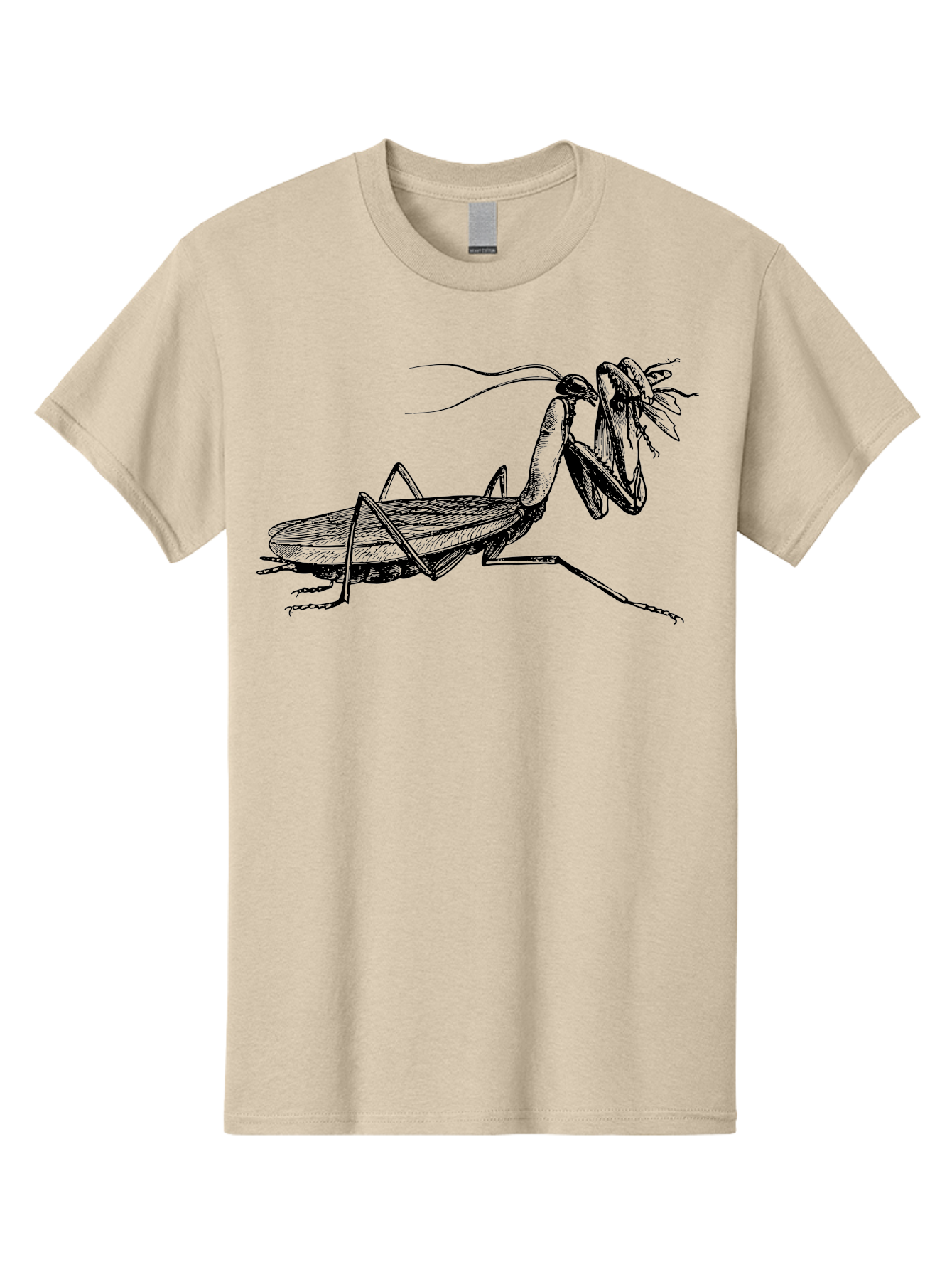 Mantis-Eating-Fly Men'S Graphic Tee, 100% Cotton, Comfortable Casual Summer Wear, Machine Washable, Praying Mantis Eating A Fly, Insect Predator, Detailed Illustration, Black And Green, Entomology Art, Wildlife Photography, Insect Behavior Aab544 27