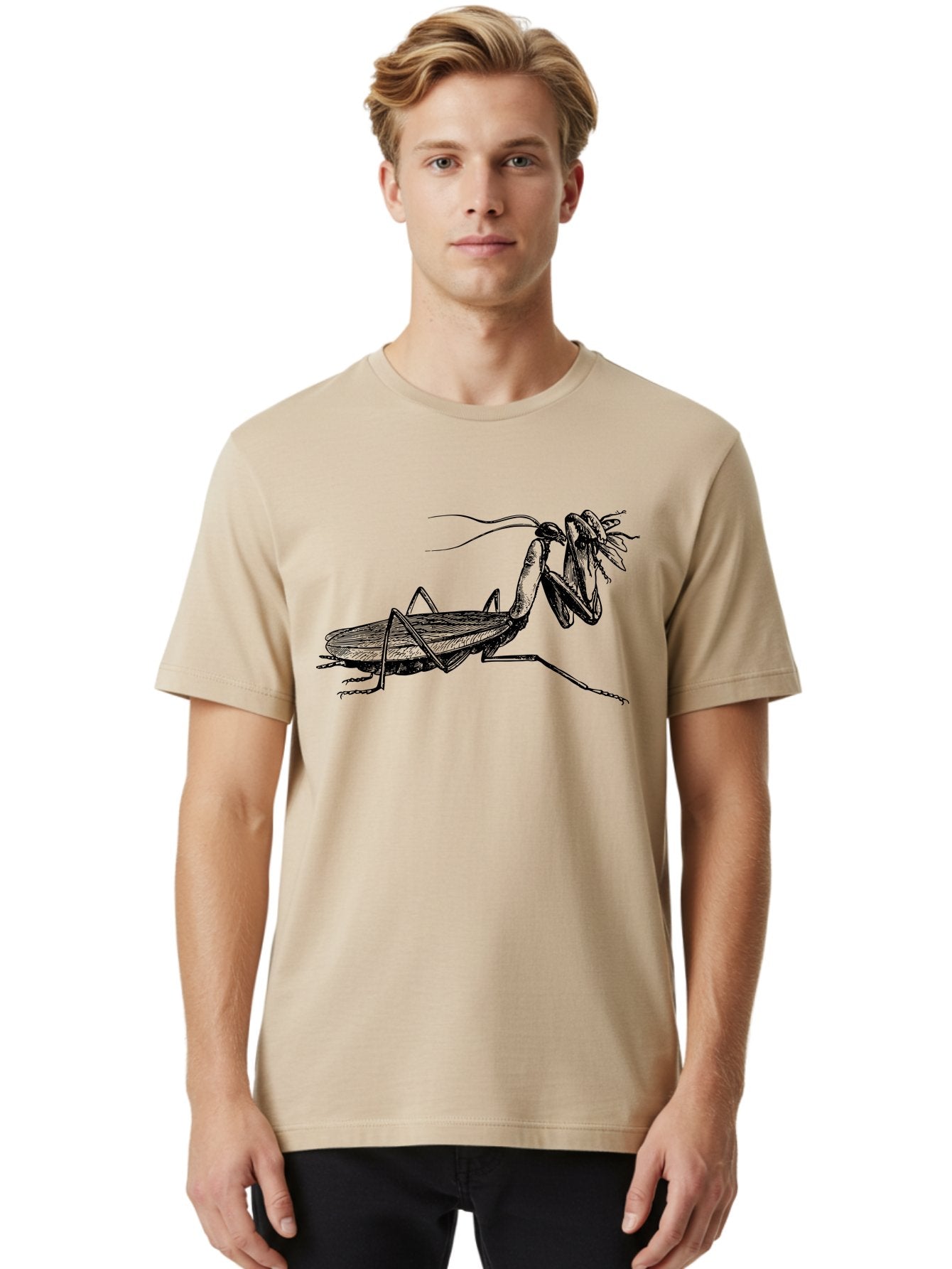Mantis-Eating-Fly Men'S Graphic Tee, 100% Cotton, Comfortable Casual Summer Wear, Machine Washable, Praying Mantis Eating A Fly, Insect Predator, Detailed Illustration, Black And Green, Entomology Art, Wildlife Photography, Insect Behavior Aab544 23