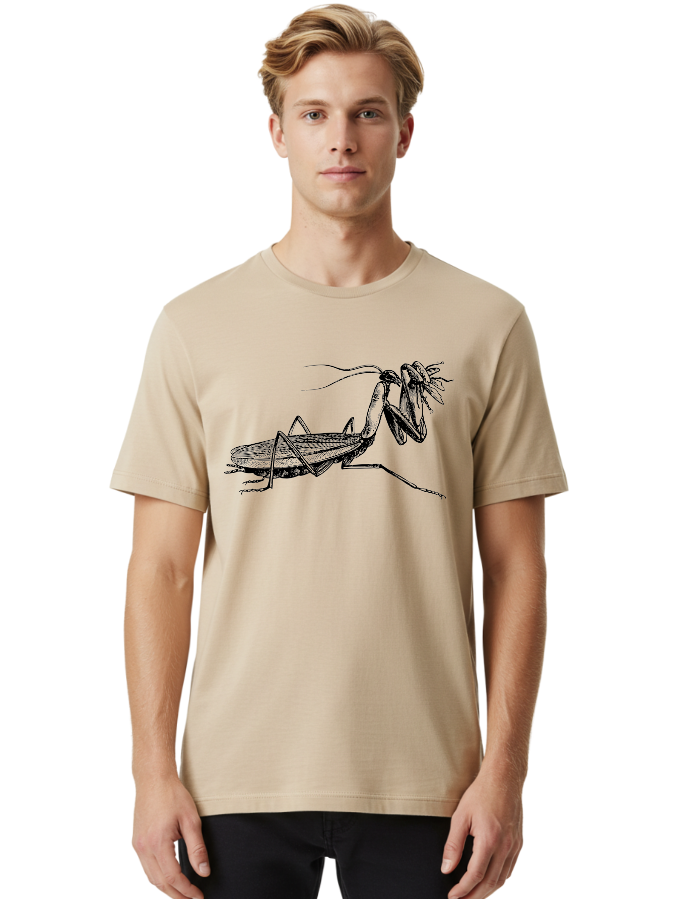 Mantis-Eating-Fly Men'S Graphic Tee, 100% Cotton, Comfortable Casual Summer Wear, Machine Washable, Praying Mantis Eating A Fly, Insect Predator, Detailed Illustration, Black And Green, Entomology Art, Wildlife Photography, Insect Behavior Aab544 28