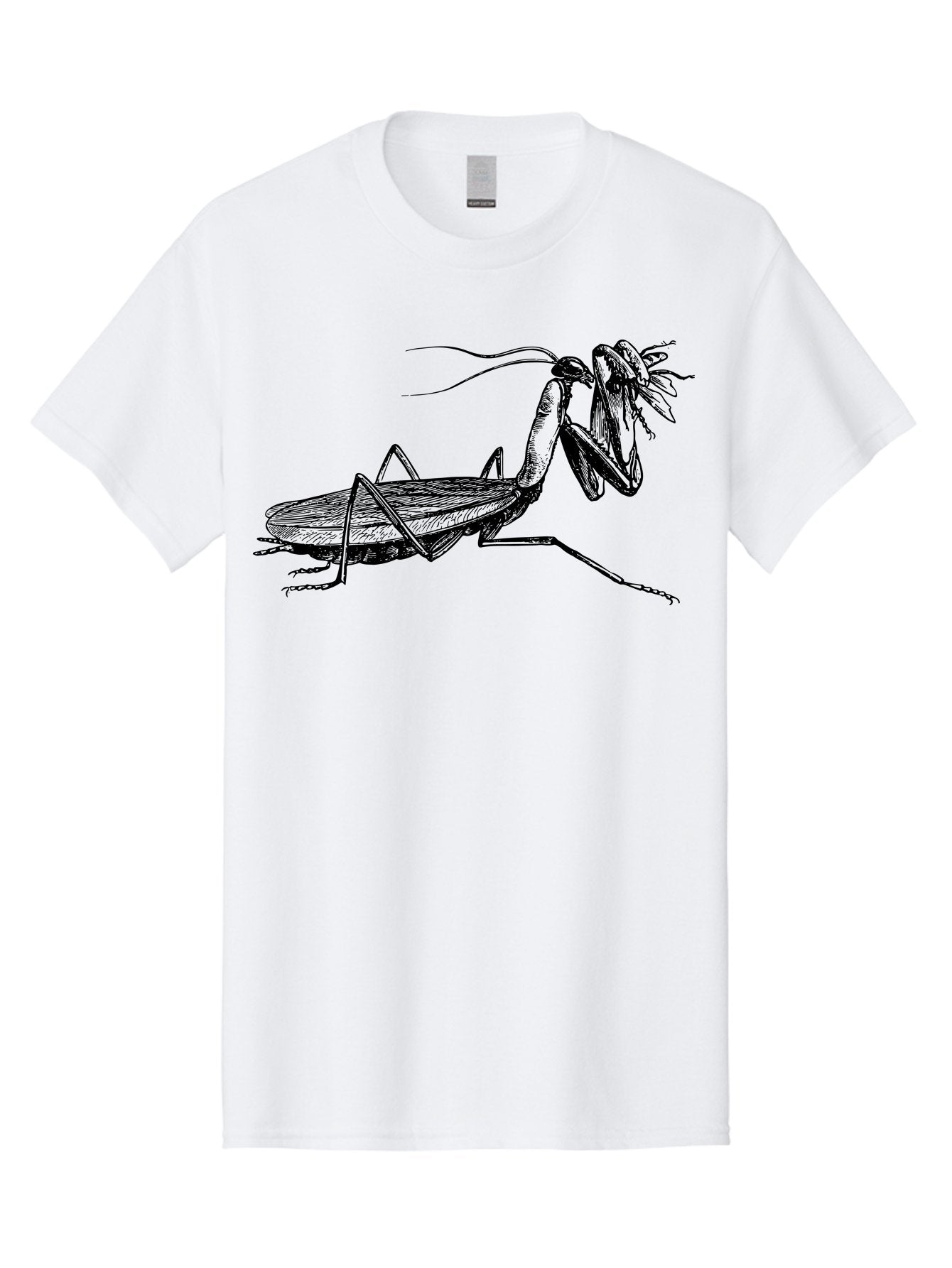 Mantis-Eating-Fly Men'S Graphic Tee, 100% Cotton, Comfortable Casual Summer Wear, Machine Washable, Praying Mantis Eating A Fly, Insect Predator, Detailed Illustration, Black And Green, Entomology Art, Wildlife Photography, Insect Behavior Aab544 9