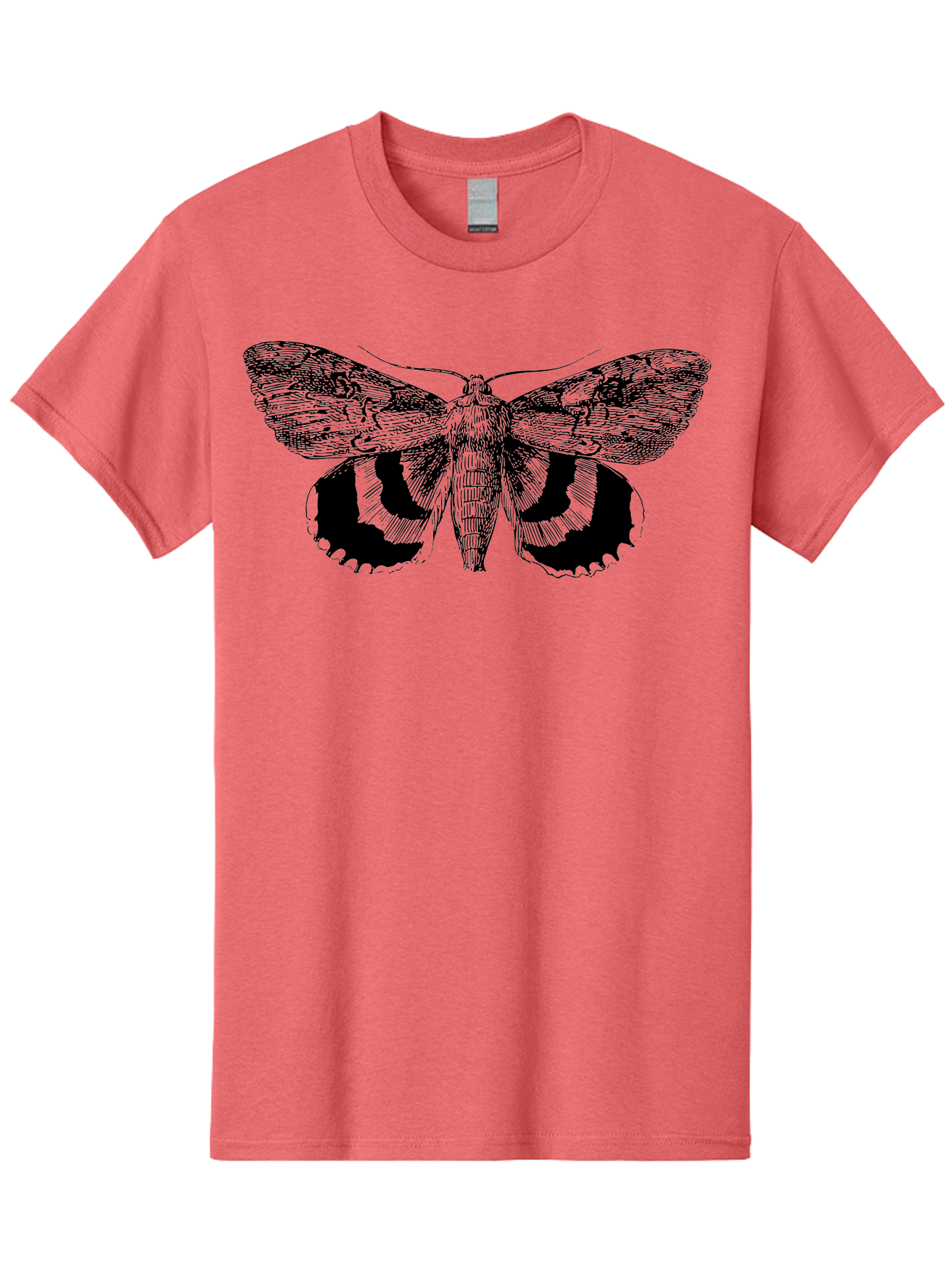 black and green moth illustration, insect art, detailed drawing, wingspan, entomology, biological illustration, vintage style, butterfly wings, insect wings 5
