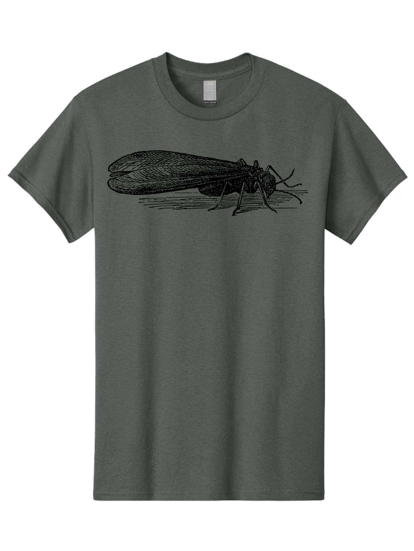 Moth Men'S Graphic Tee, 100% Cotton, Comfortable Casual Summer Wear, Machine Washable, Mayfly Insect, Vintage Illustration, Black And White Artwork, Detailed Drawing, Insect Anatomy, Entomology, Wildlife Art, Natural History, Insect Wings, Aab549