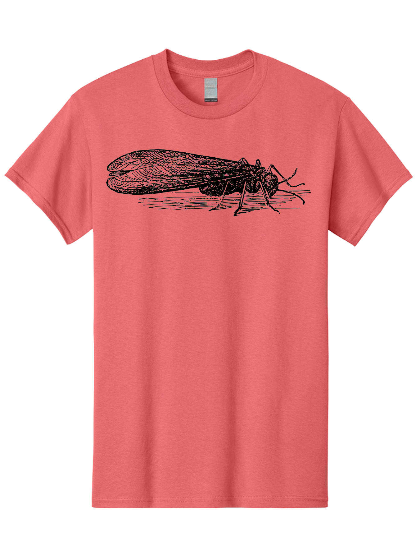 Moth Men'S Graphic Tee, 100% Cotton, Comfortable Casual Summer Wear, Machine Washable, Mayfly Insect, Vintage Illustration, Black And White Artwork, Detailed Drawing, Insect Anatomy, Entomology, Wildlife Art, Natural History, Insect Wings, Aab549 27