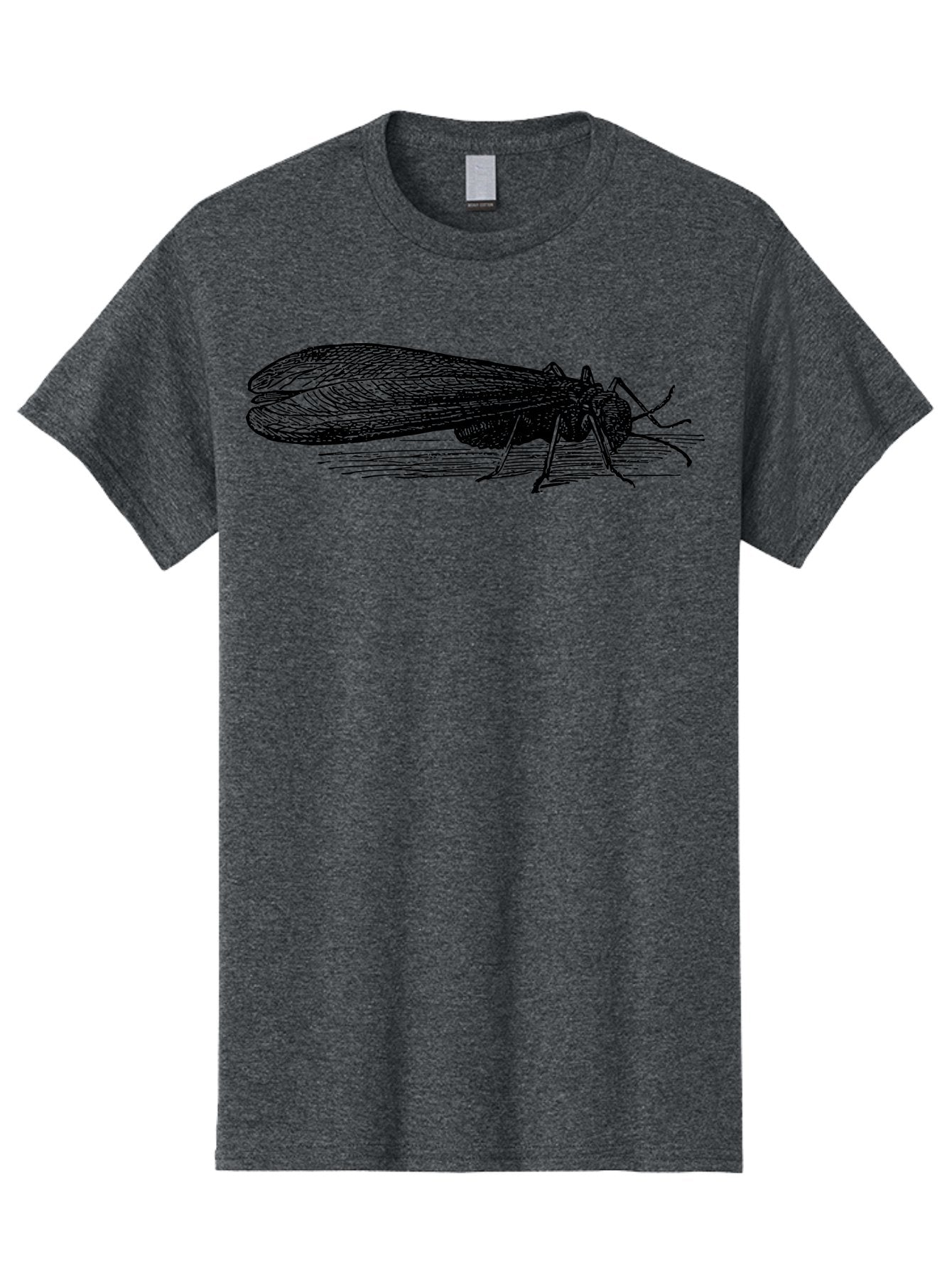 Moth Men'S Graphic Tee, 100% Cotton, Comfortable Casual Summer Wear, Machine Washable, Mayfly Insect, Vintage Illustration, Black And White Artwork, Detailed Drawing, Insect Anatomy, Entomology, Wildlife Art, Natural History, Insect Wings, Aab549