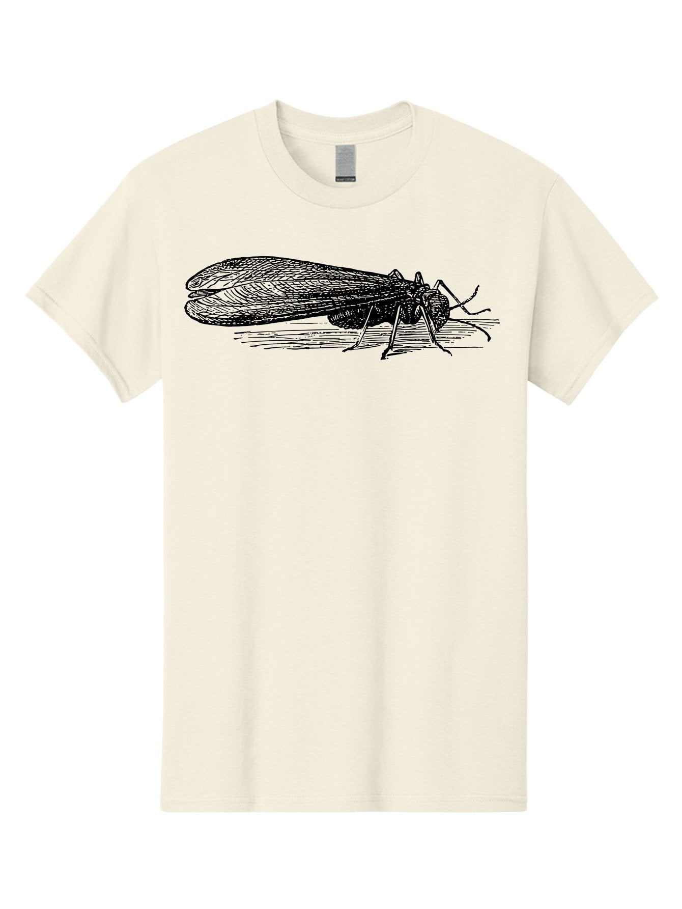 Moth Men'S Graphic Tee, 100% Cotton, Comfortable Casual Summer Wear, Machine Washable, Mayfly Insect, Vintage Illustration, Black And White Artwork, Detailed Drawing, Insect Anatomy, Entomology, Wildlife Art, Natural History, Insect Wings, Aab549 3