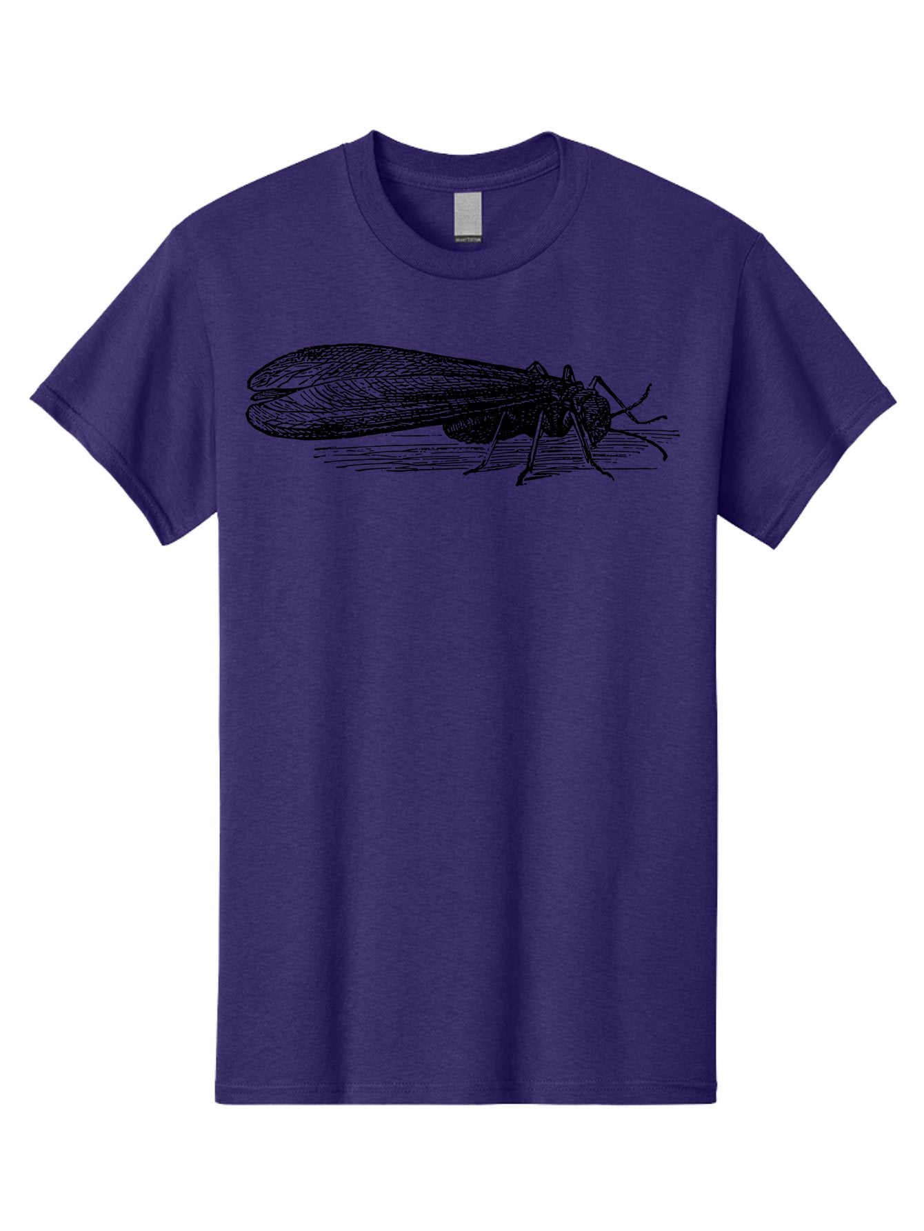 Moth Men'S Graphic Tee, 100% Cotton, Comfortable Casual Summer Wear, Machine Washable, Mayfly Insect, Vintage Illustration, Black And White Artwork, Detailed Drawing, Insect Anatomy, Entomology, Wildlife Art, Natural History, Insect Wings, Aab549 9