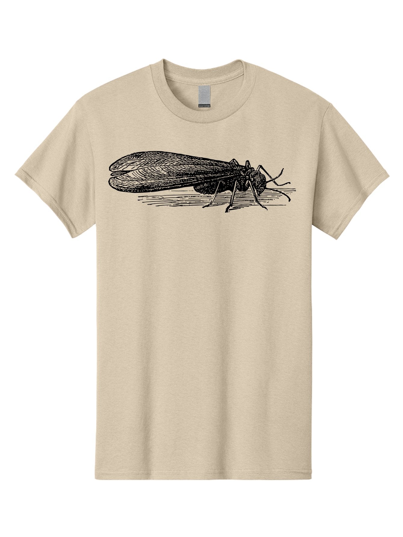 Moth Men'S Graphic Tee, 100% Cotton, Comfortable Casual Summer Wear, Machine Washable, Mayfly Insect, Vintage Illustration, Black And White Artwork, Detailed Drawing, Insect Anatomy, Entomology, Wildlife Art, Natural History, Insect Wings, Aab549 5