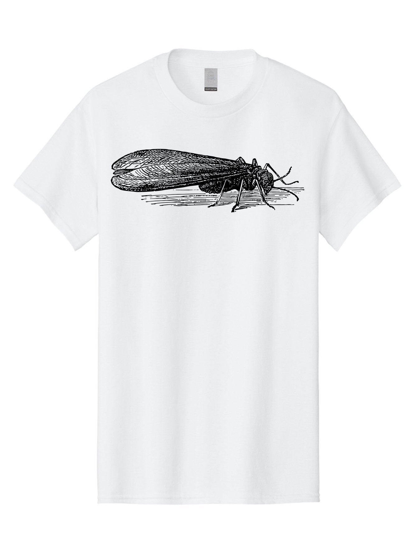 Moth Men'S Graphic Tee, 100% Cotton, Comfortable Casual Summer Wear, Machine Washable, Mayfly Insect, Vintage Illustration, Black And White Artwork, Detailed Drawing, Insect Anatomy, Entomology, Wildlife Art, Natural History, Insect Wings, Aab549 6