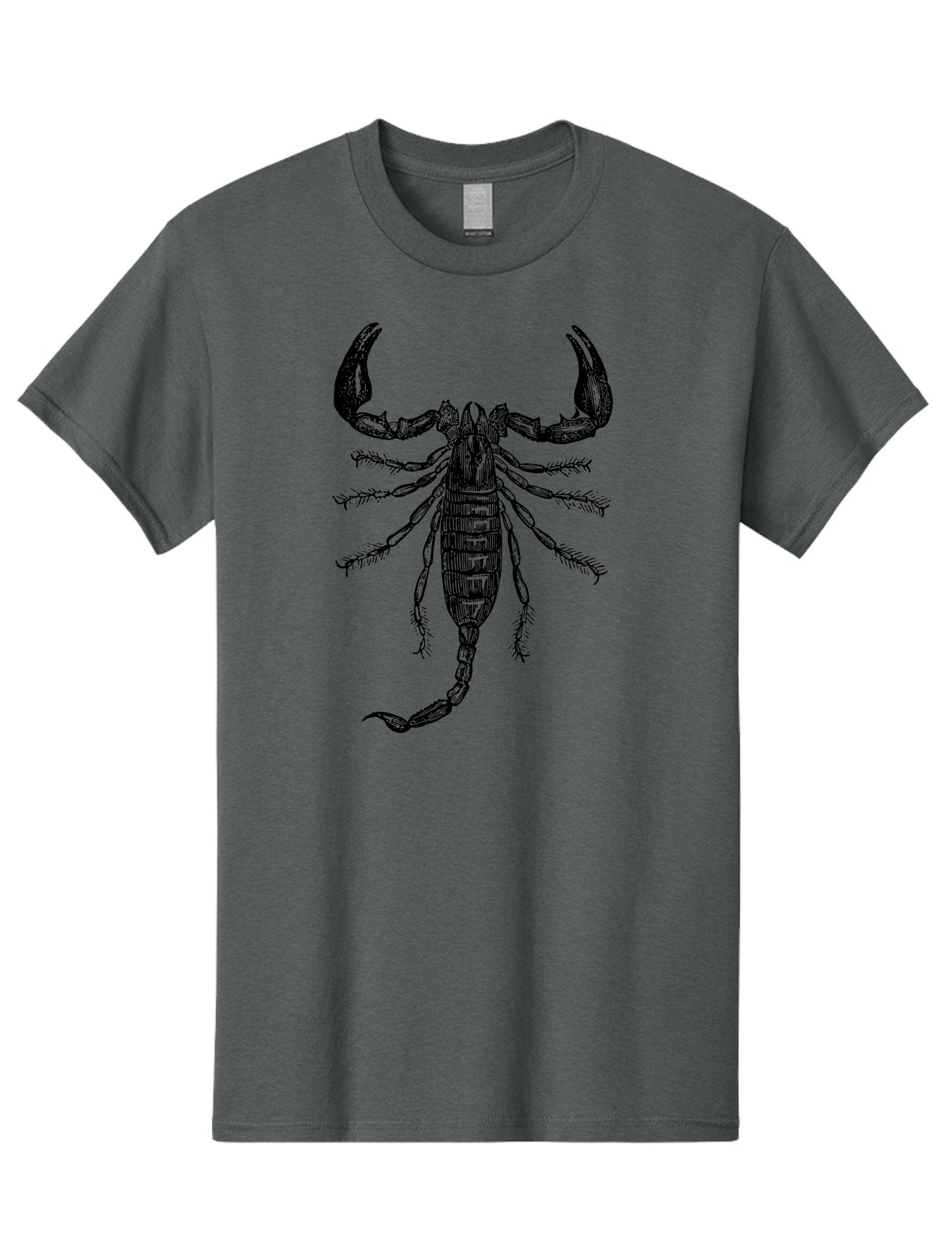 Scorpion-Illustration Men'S Graphic Tee, 100% Cotton, Comfortable Casual Summer Wear, Machine Washable, Scorpion Illustration, Arachnid Art, Creepy Crawlers, Venomous Creature, Detailed Drawing, Scorpion Anatomy, Dark Art, Gothic Design, Aab550 7