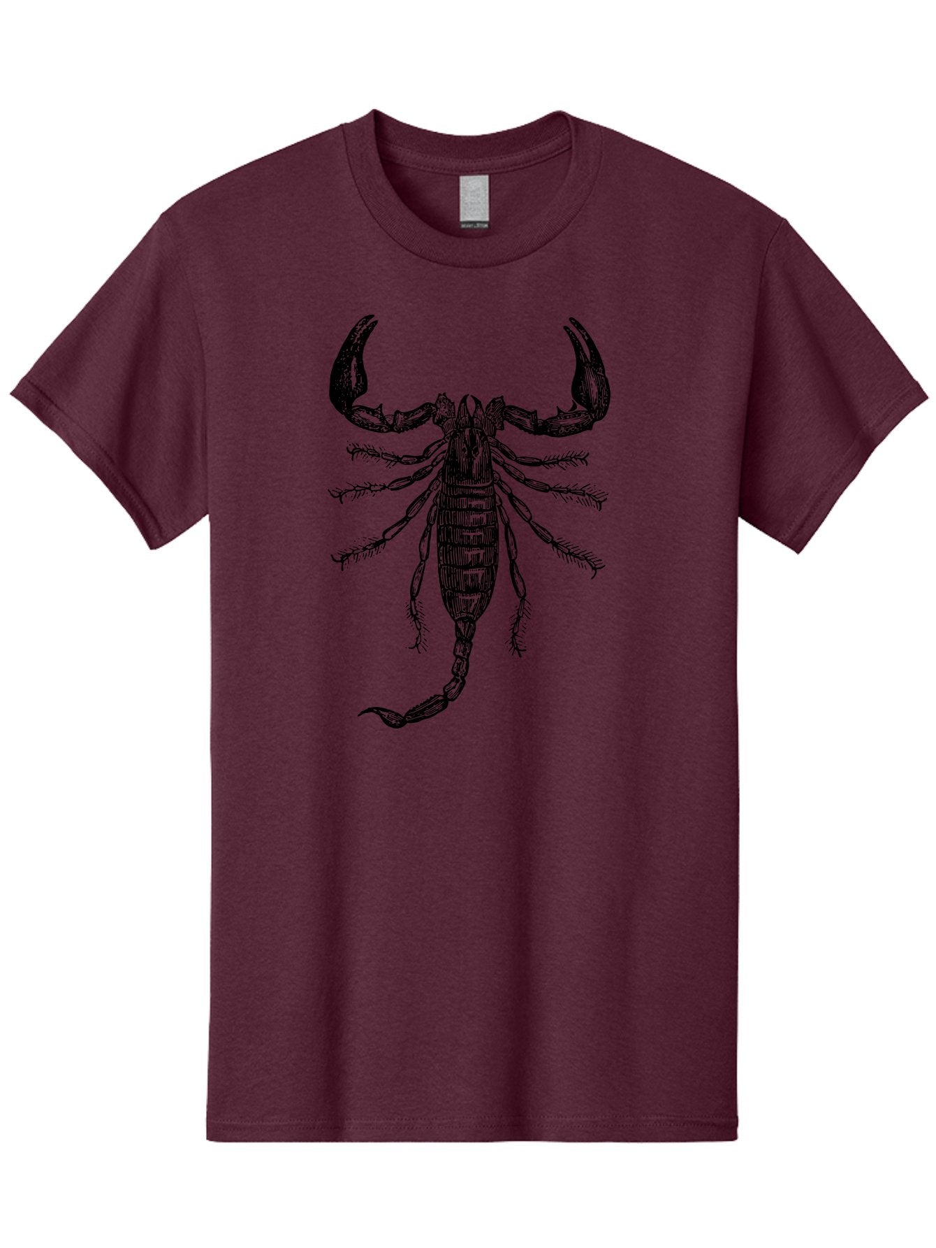 Scorpion-Illustration Men'S Graphic Tee, 100% Cotton, Comfortable Casual Summer Wear, Machine Washable, Scorpion Illustration, Arachnid Art, Creepy Crawlers, Venomous Creature, Detailed Drawing, Scorpion Anatomy, Dark Art, Gothic Design, Aab550 8