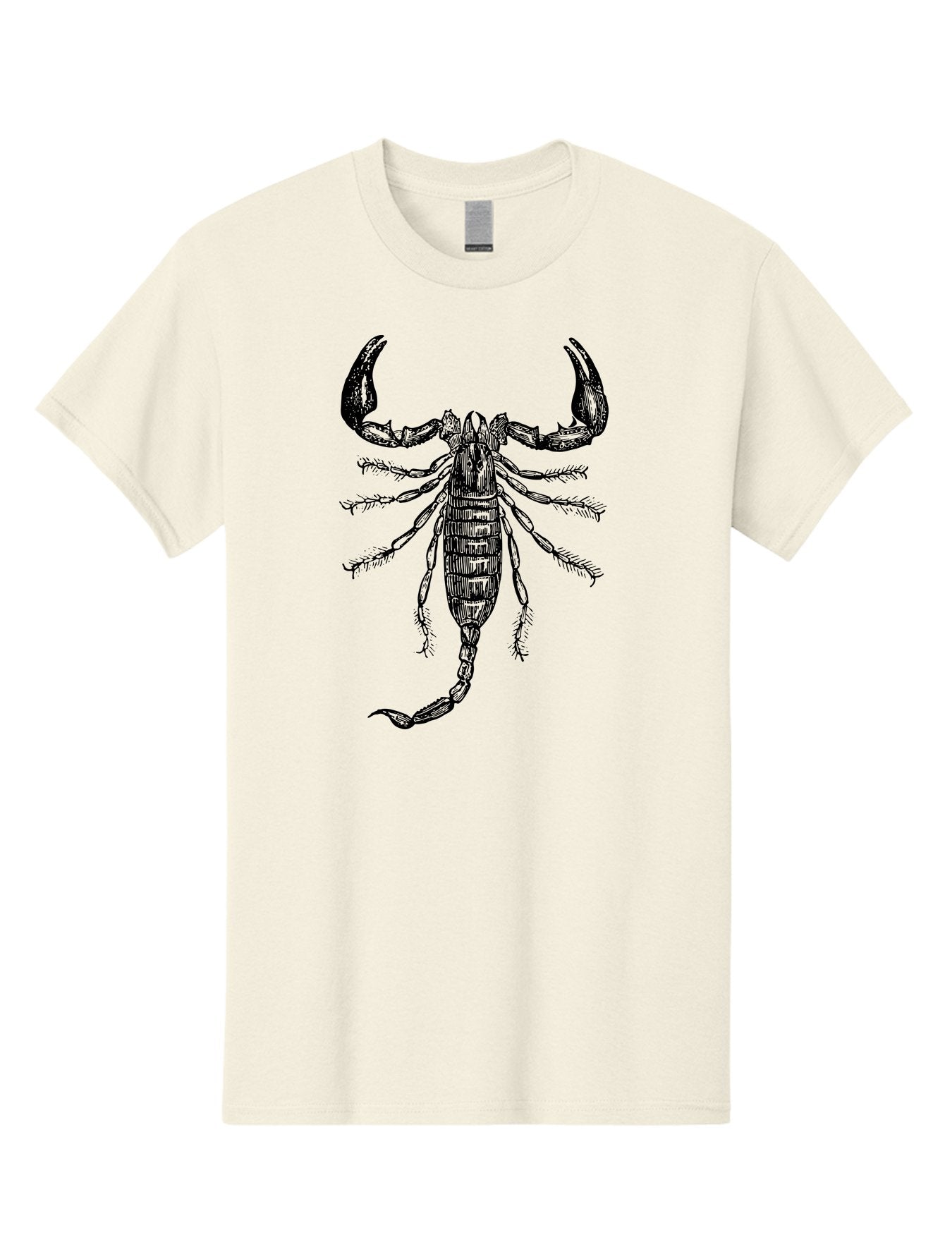 Scorpion-Illustration Men'S Graphic Tee, 100% Cotton, Comfortable Casual Summer Wear, Machine Washable, Scorpion Illustration, Arachnid Art, Creepy Crawlers, Venomous Creature, Detailed Drawing, Scorpion Anatomy, Dark Art, Gothic Design, Aab550 5