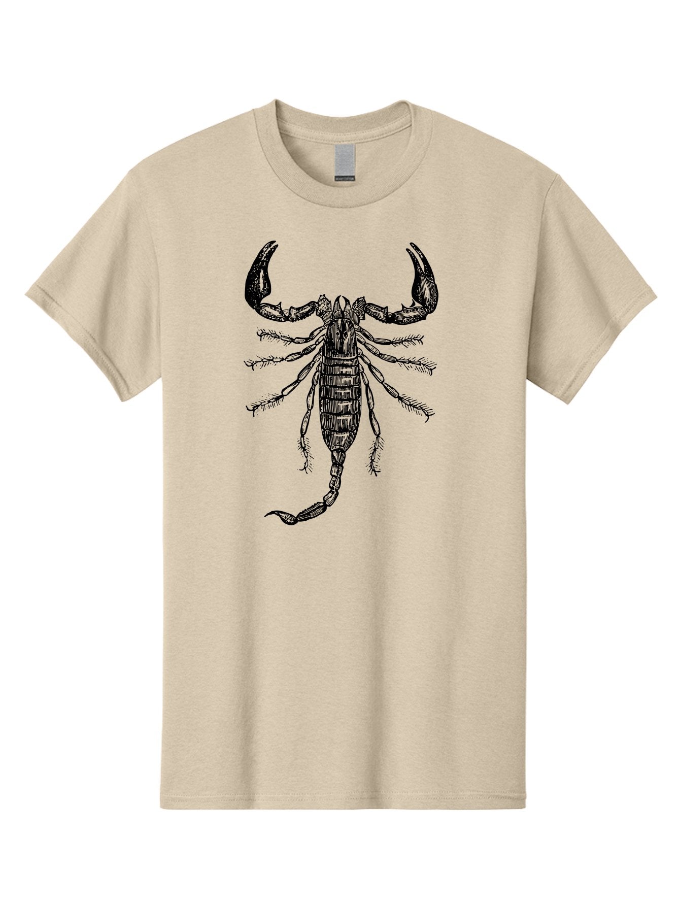 Scorpion-Illustration Men'S Graphic Tee, 100% Cotton, Comfortable Casual Summer Wear, Machine Washable, Scorpion Illustration, Arachnid Art, Creepy Crawlers, Venomous Creature, Detailed Drawing, Scorpion Anatomy, Dark Art, Gothic Design, Aab550 13