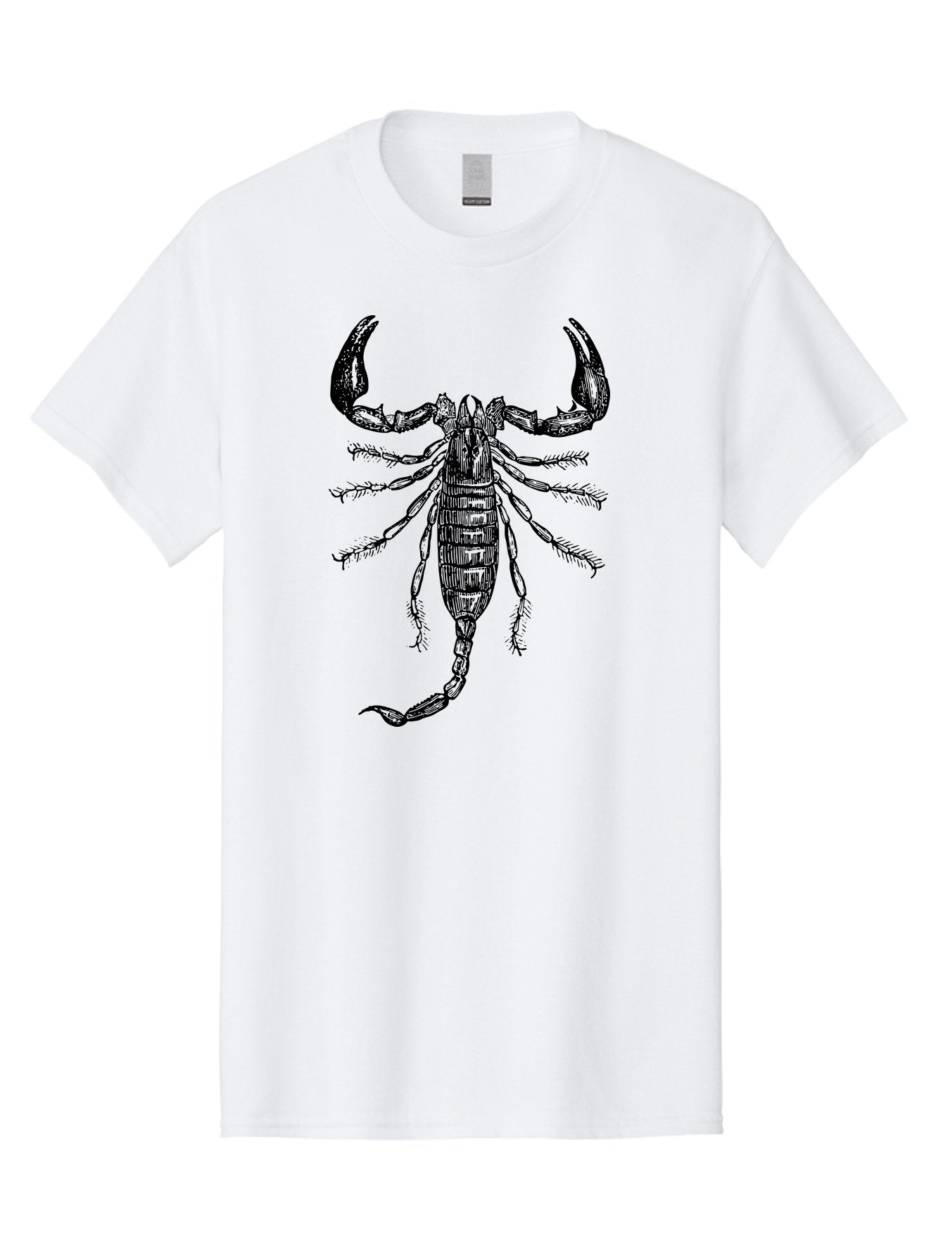 Scorpion-Illustration Men'S Graphic Tee, 100% Cotton, Comfortable Casual Summer Wear, Machine Washable, Scorpion Illustration, Arachnid Art, Creepy Crawlers, Venomous Creature, Detailed Drawing, Scorpion Anatomy, Dark Art, Gothic Design, Aab550 9