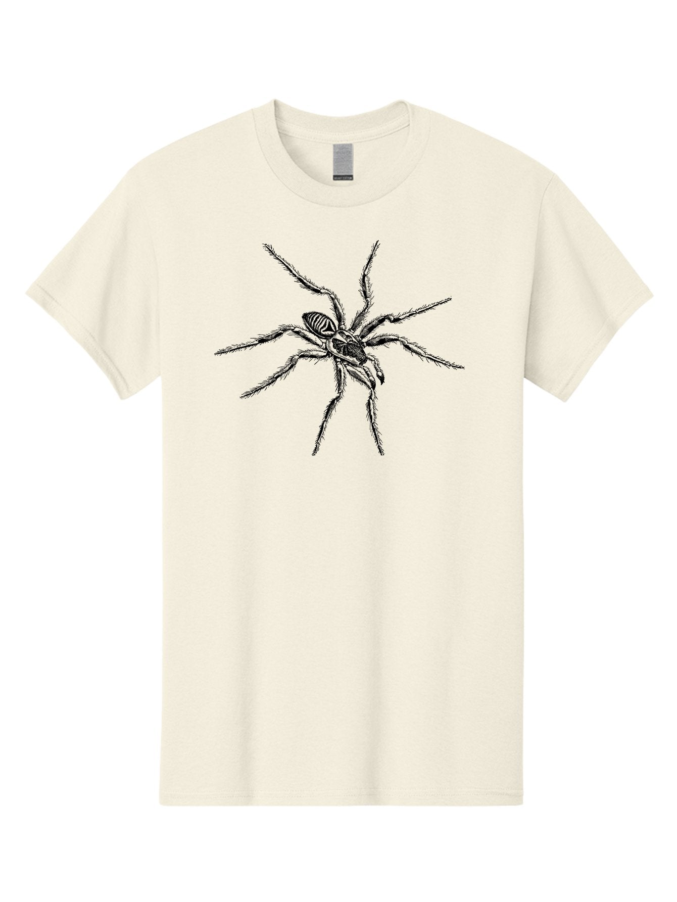Spider-1 Men'S Graphic Tee, 100% Cotton, Comfortable Casual Summer Wear, Machine Washable, Black Spider, Eight Legs, Arachnid, Insect, Detailed Illustration, Spider Anatomy, Creepy Crawlers, Spider Art Aab552 10