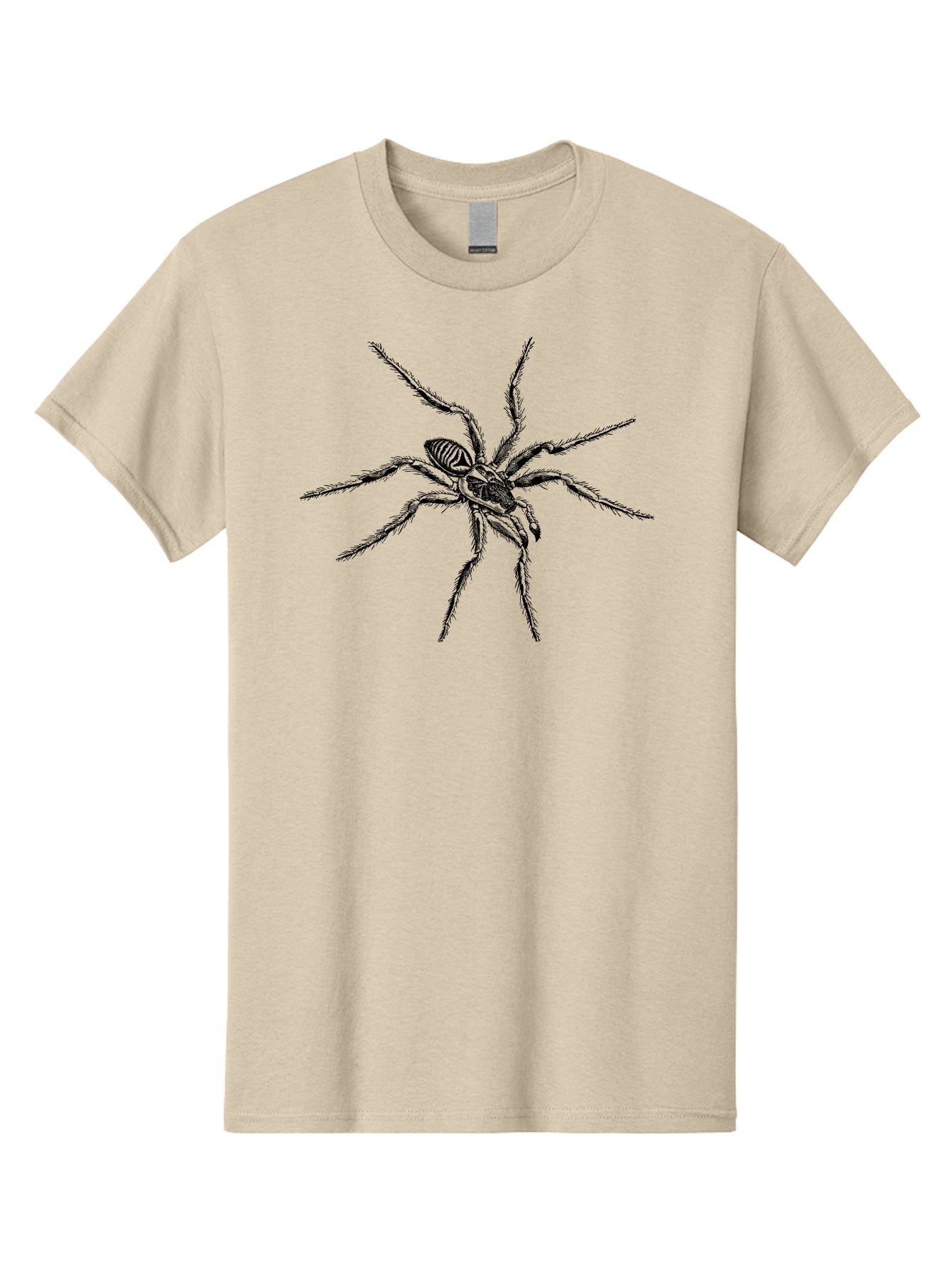 Spider-1 Men'S Graphic Tee, 100% Cotton, Comfortable Casual Summer Wear, Machine Washable, Black Spider, Eight Legs, Arachnid, Insect, Detailed Illustration, Spider Anatomy, Creepy Crawlers, Spider Art Aab552 8
