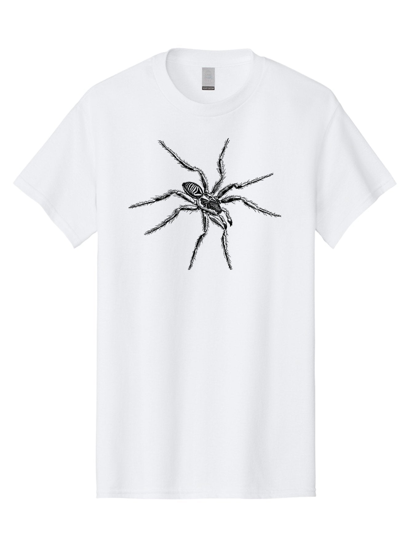 Spider-1 Men'S Graphic Tee, 100% Cotton, Comfortable Casual Summer Wear, Machine Washable, Black Spider, Eight Legs, Arachnid, Insect, Detailed Illustration, Spider Anatomy, Creepy Crawlers, Spider Art Aab552