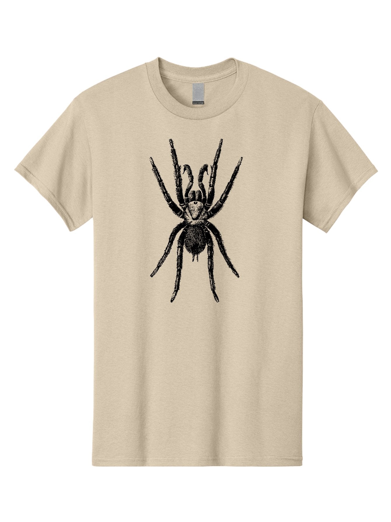 Spider Men'S Graphic Tee, 100% Cotton, Comfortable Casual Summer Wear, Machine Washable, Black Widow Spider, Arachnid, Eight Legs, Spider Silhouette, Arachnophobia, Black And Green, Creepy Crawlers, Spider Graphics, Dark Art Aab554 13