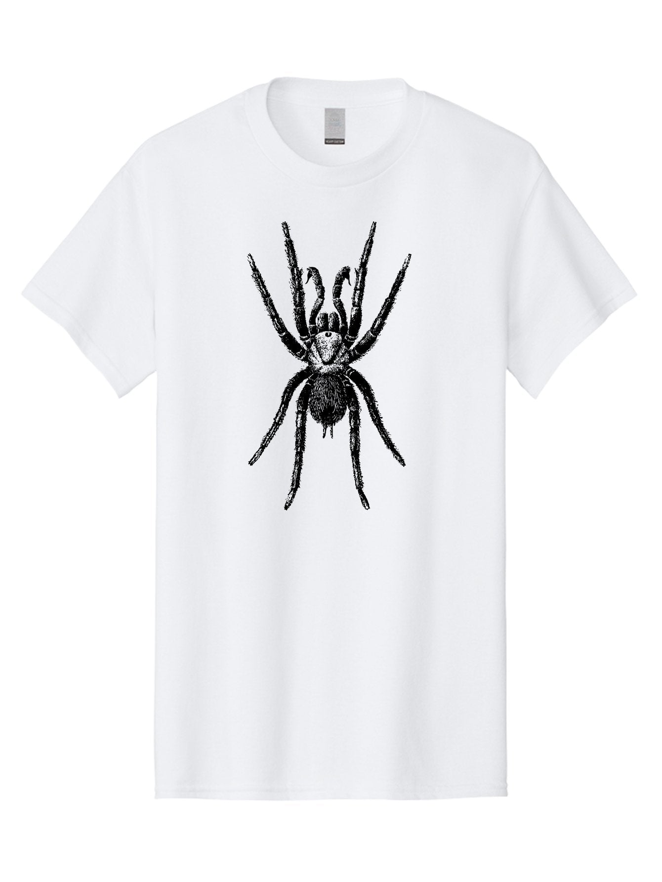 Spider Men'S Graphic Tee, 100% Cotton, Comfortable Casual Summer Wear, Machine Washable, Black Widow Spider, Arachnid, Eight Legs, Spider Silhouette, Arachnophobia, Black And Green, Creepy Crawlers, Spider Graphics, Dark Art Aab554 5