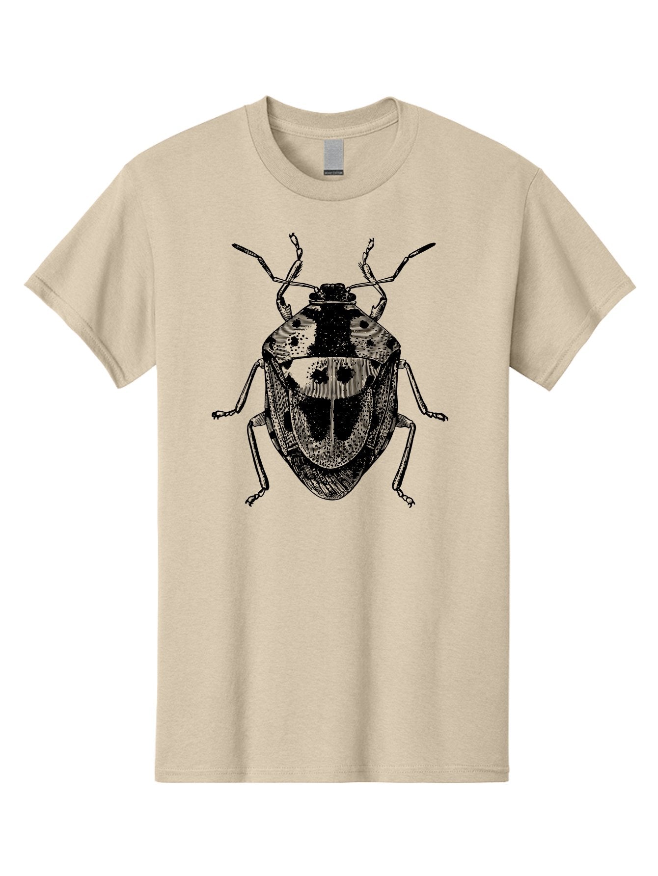 Spotted-Shield-Bug Men'S Graphic Tee, 100% Cotton, Comfortable Casual Summer Wear, Machine Washable, Shield Bug, Insect, Entomology, Bug Illustration, Black And Green, Detailed Drawing, Insect Anatomy, Bug Species, Natural History Aab555 6