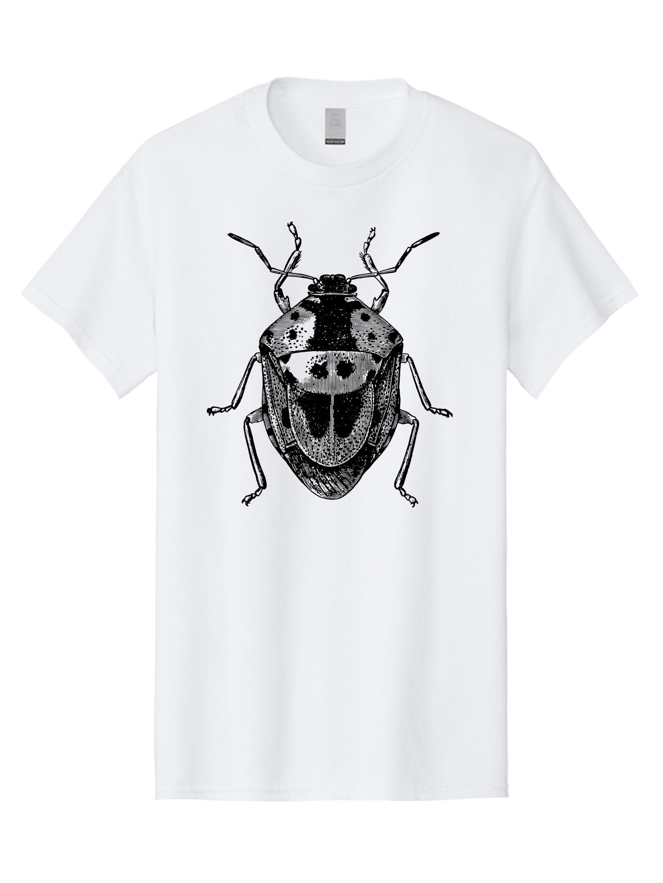 Spotted-Shield-Bug Men'S Graphic Tee, 100% Cotton, Comfortable Casual Summer Wear, Machine Washable, Shield Bug, Insect, Entomology, Bug Illustration, Black And Green, Detailed Drawing, Insect Anatomy, Bug Species, Natural History Aab555 10