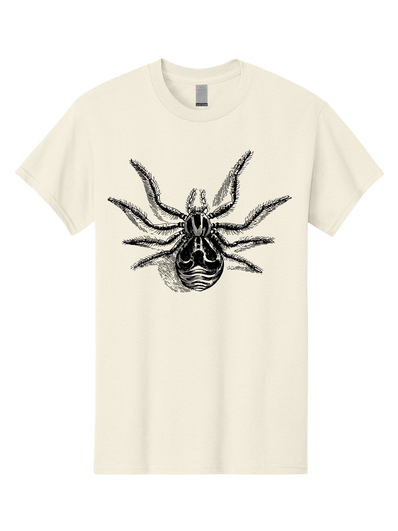 Tarantula Men'S Graphic Tee, 100% Cotton, Comfortable Casual Summer Wear, Machine Washable, Tarantula, Spider Illustration, Arachnid Art, Black And Green Design, Creepy Crawlers, Spider Graphics, Detailed Drawing, Spider Legs Aab558 8