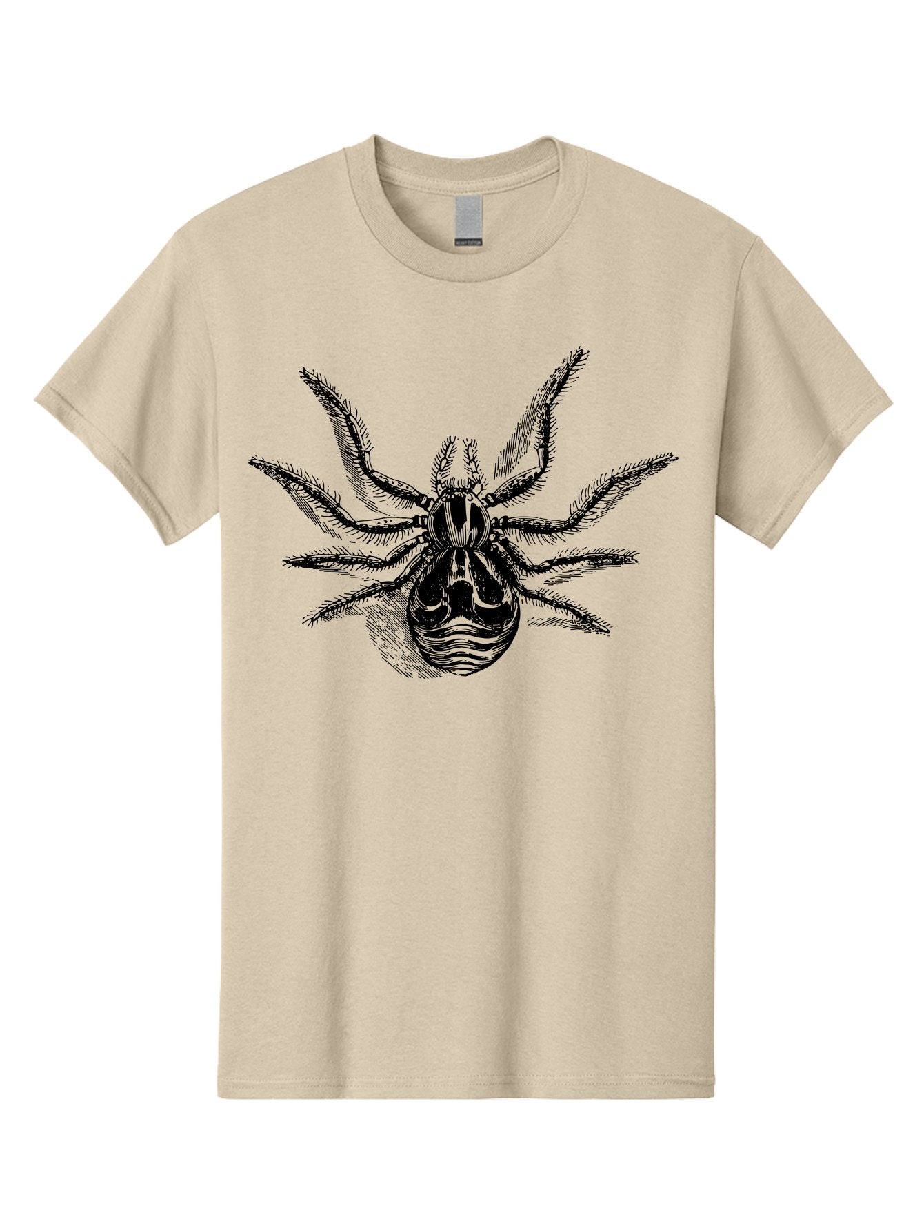 Tarantula Men'S Graphic Tee, 100% Cotton, Comfortable Casual Summer Wear, Machine Washable, Tarantula, Spider Illustration, Arachnid Art, Black And Green Design, Creepy Crawlers, Spider Graphics, Detailed Drawing, Spider Legs Aab558 15