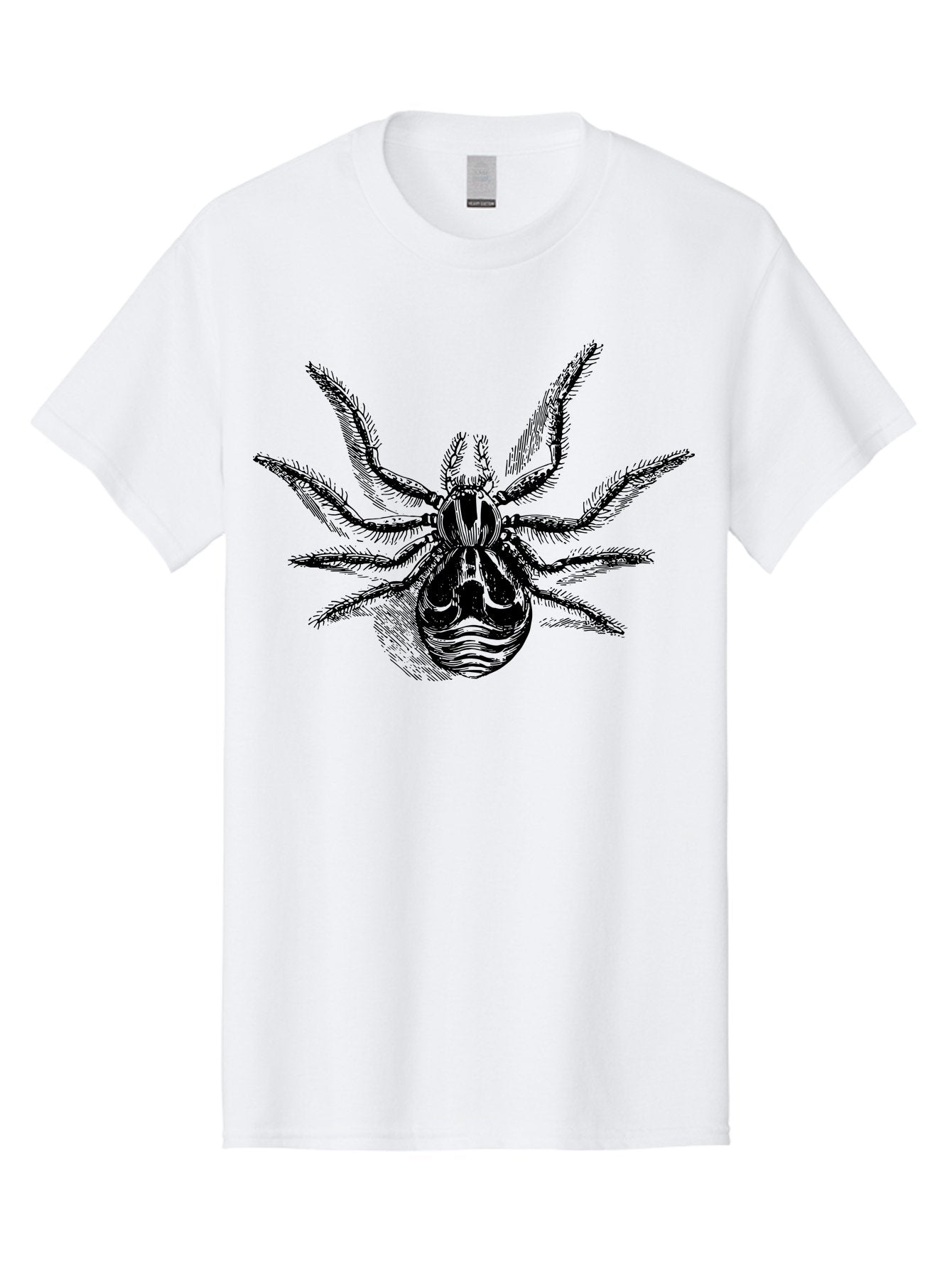Tarantula Men'S Graphic Tee, 100% Cotton, Comfortable Casual Summer Wear, Machine Washable, Tarantula, Spider Illustration, Arachnid Art, Black And Green Design, Creepy Crawlers, Spider Graphics, Detailed Drawing, Spider Legs Aab558