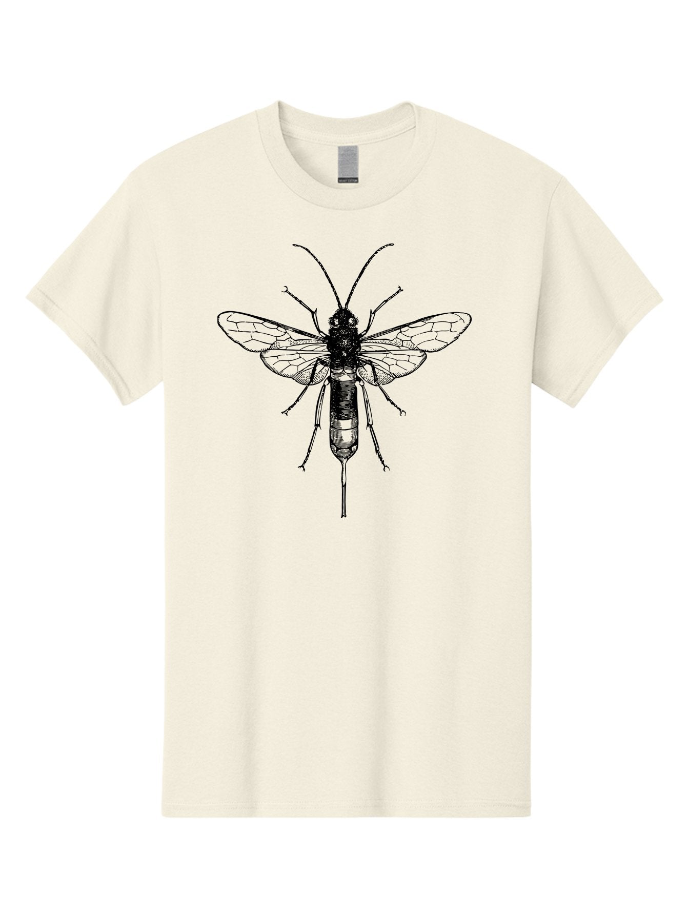Wasp Men'S Graphic Tee, 100% Cotton, Comfortable Casual Summer Wear, Machine Washable, Black And Green Wasp, Insect Anatomy, Entomology Illustration, Detailed Drawing, Scientific Art, Insect Wings, Wasp Body, Bug Illustration Aab560 10