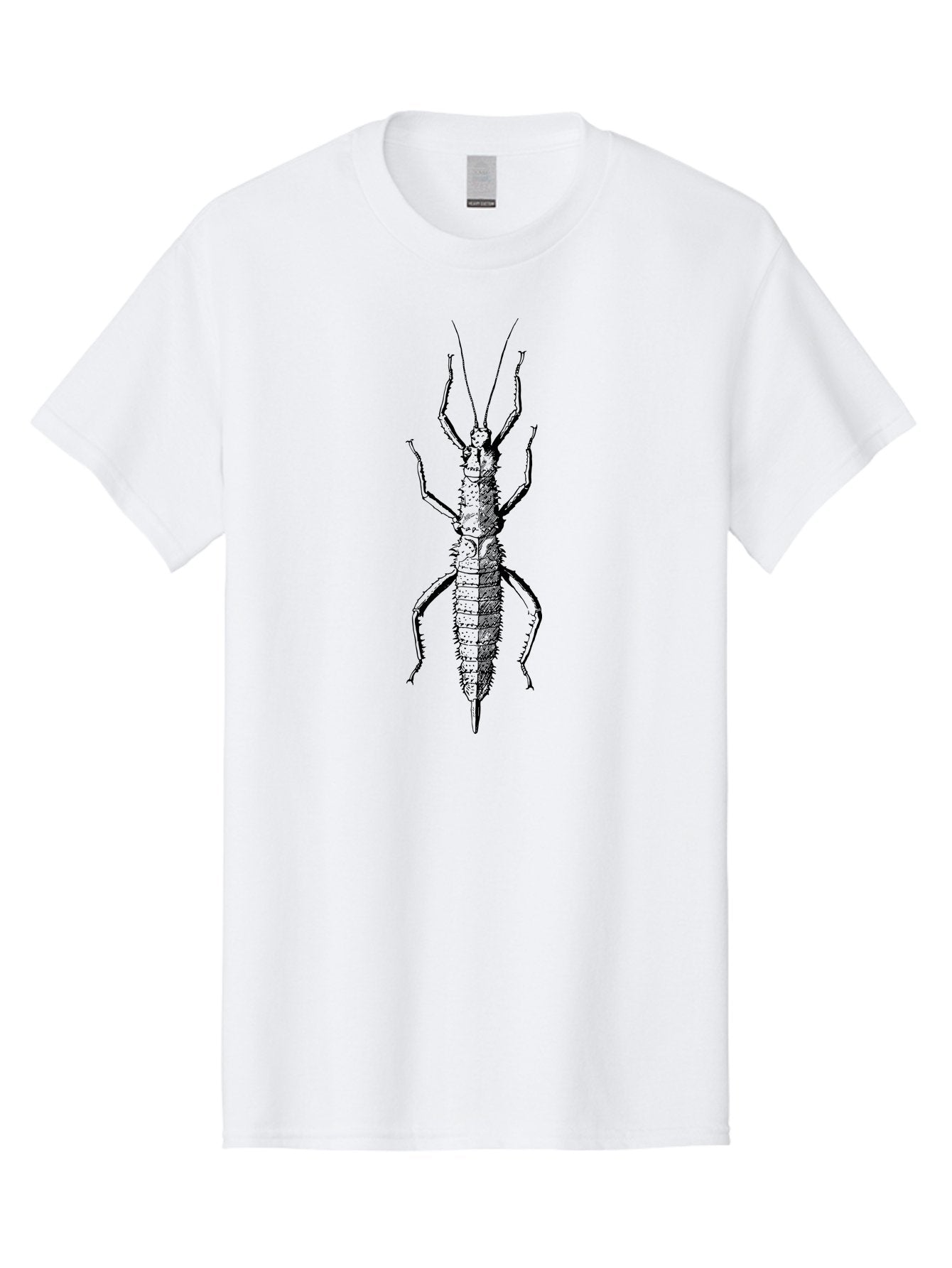 Weta Men'S Graphic Tee, 100% Cotton, Comfortable Casual Summer Wear, Machine Washable, Weta Insect, Native New Zealand Bug, Black Illustration, Entomology Art, Insect Anatomy, Detailed Drawing, Wildlife Illustration Aab561