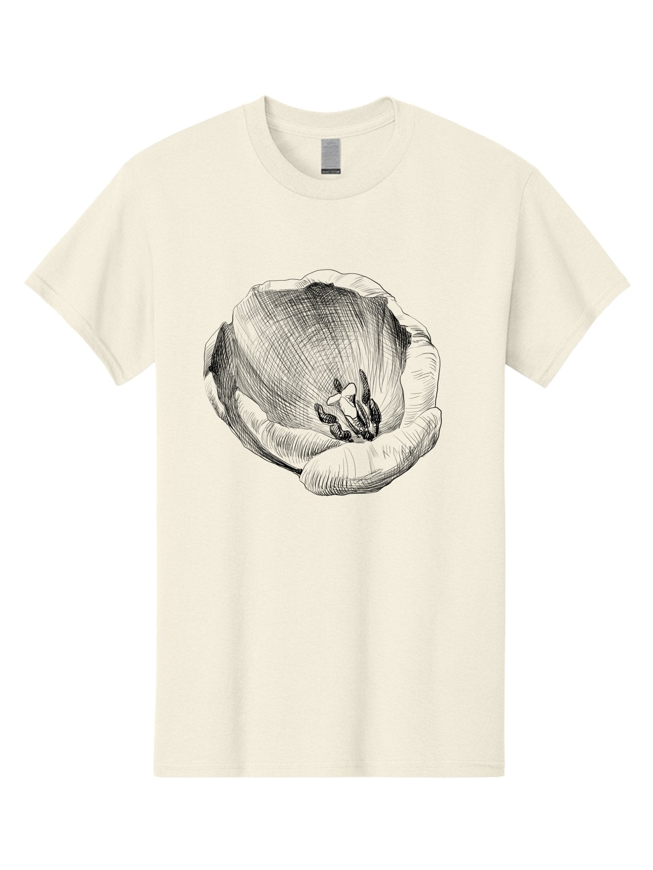 Tulip-1 Men'S Graphic Tee, 100% Cotton, Comfortable Casual Summer Wear, Machine Washable, Tulip Flower, Floral Illustration, Botanical Art, Hand-Drawn Design, Elegant Petals, Delicate Lines, Artistic Expression, Flower Drawing Aac276 9