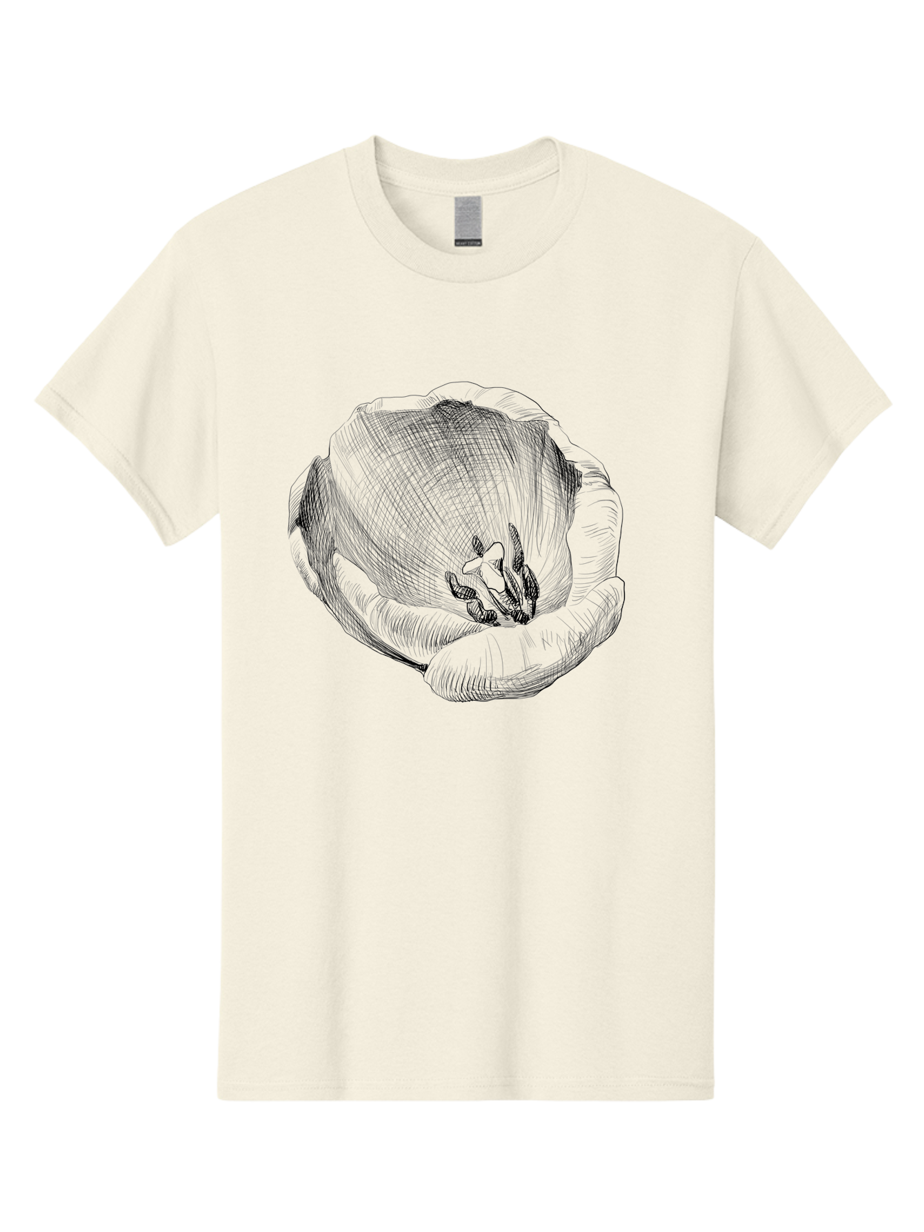 Tulip-1 Men'S Graphic Tee, 100% Cotton, Comfortable Casual Summer Wear, Machine Washable, Tulip Flower, Floral Illustration, Botanical Art, Hand-Drawn Design, Elegant Petals, Delicate Lines, Artistic Expression, Flower Drawing Aac276 9