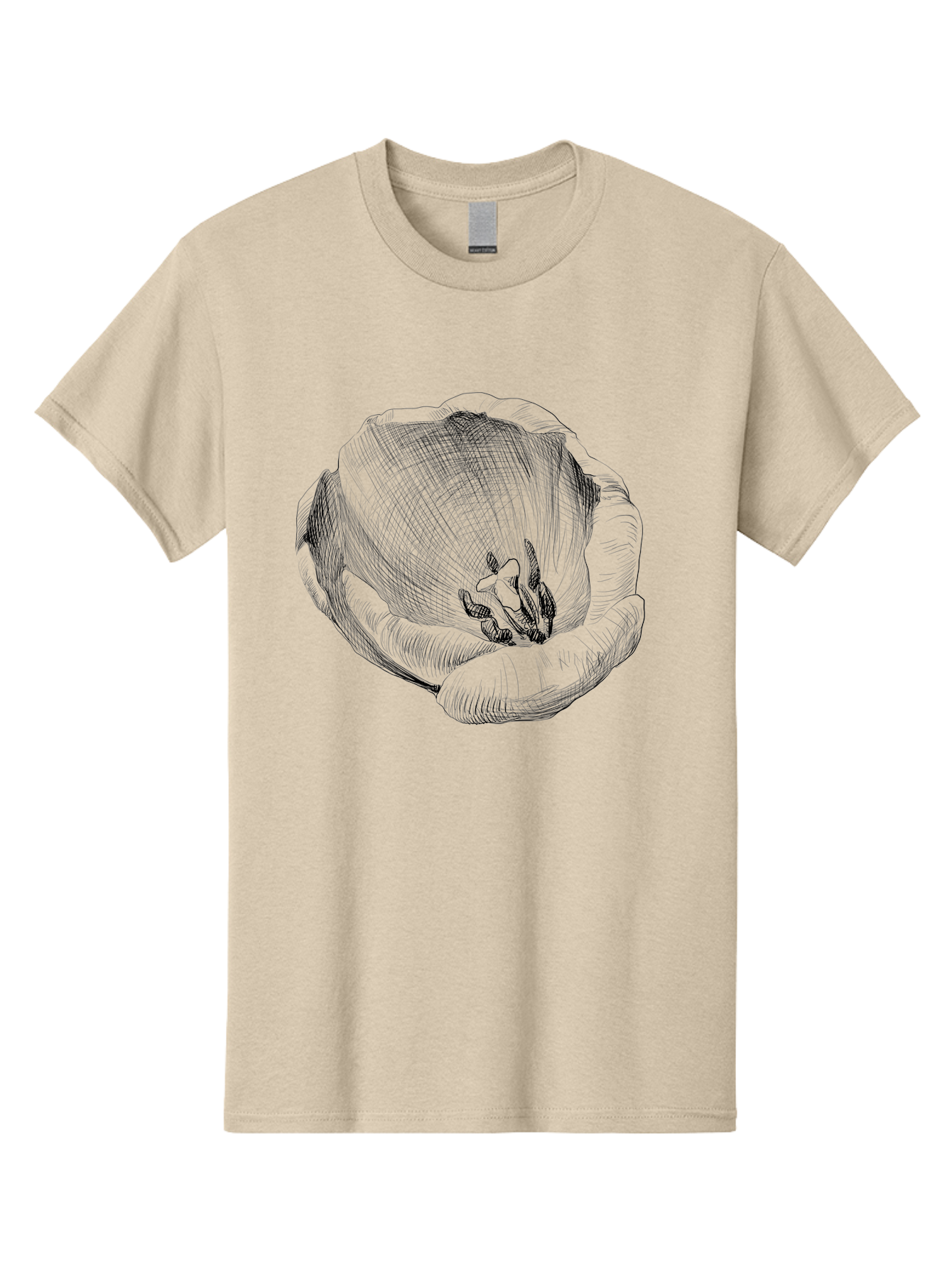 Tulip-1 Men'S Graphic Tee, 100% Cotton, Comfortable Casual Summer Wear, Machine Washable, Tulip Flower, Floral Illustration, Botanical Art, Hand-Drawn Design, Elegant Petals, Delicate Lines, Artistic Expression, Flower Drawing Aac276 23