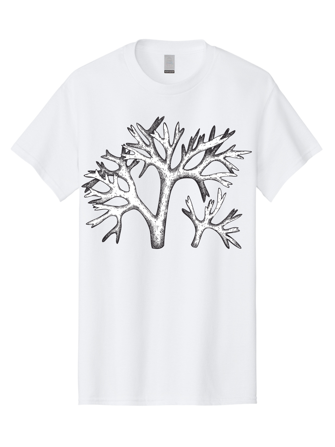 Coral-3 Men'S Graphic Tee, 100% Cotton, Comfortable Casual Summer Wear, Machine Washable, Coral Reefs, Marine Life, Ocean Creatures, Underwater World, Coral Branches, Black And White Illustration, Detailed Drawing, Abstract Shapes Aad690 15