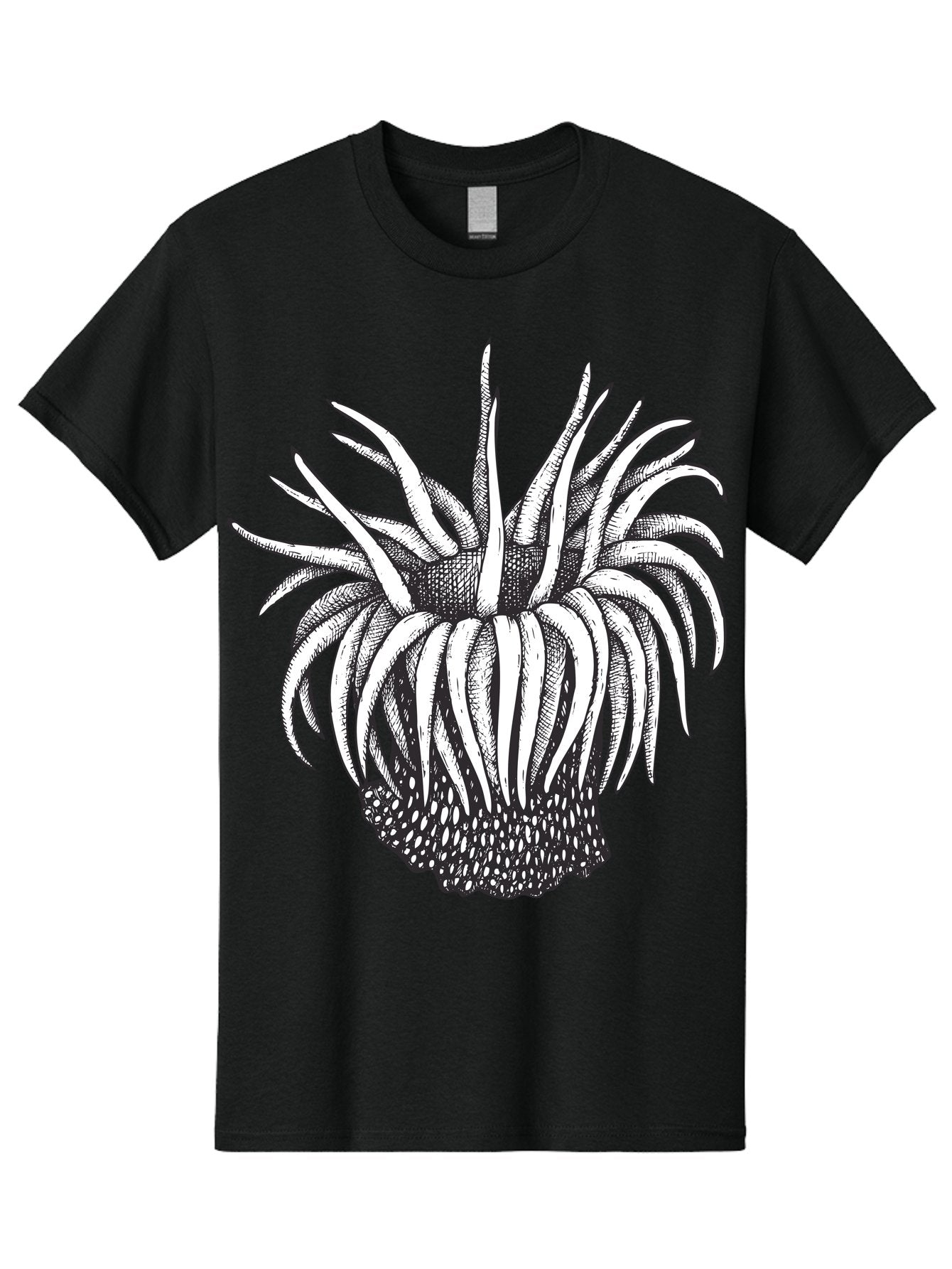 Dandelion Men'S Graphic Tee, 100% Cotton, Comfortable Casual Summer Wear, Machine Washable, Thistle Flower, Wildflower, Black And White Illustration, Botanical Art, Floral Design, Intricate Details, Spiky Petals Aad692 9