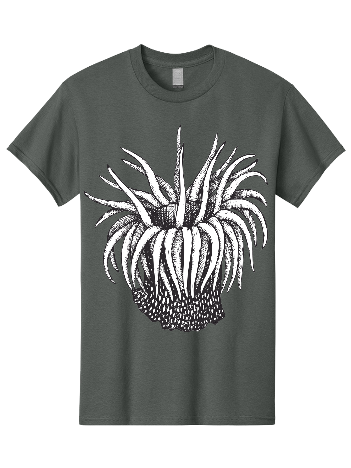 Dandelion Men'S Graphic Tee, 100% Cotton, Comfortable Casual Summer Wear, Machine Washable, Thistle Flower, Wildflower, Black And White Illustration, Botanical Art, Floral Design, Intricate Details, Spiky Petals Aad692 29