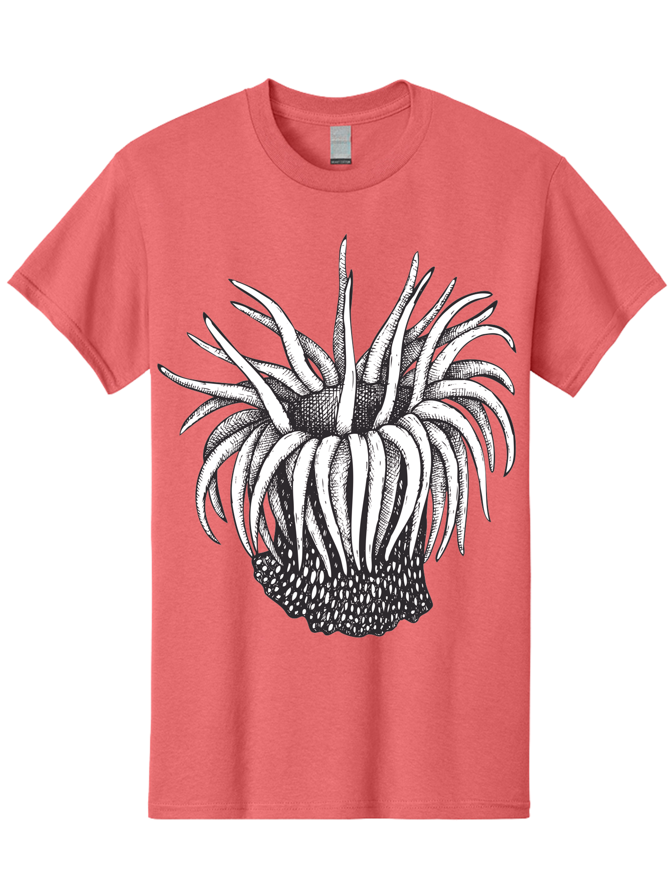 Dandelion Men'S Graphic Tee, 100% Cotton, Comfortable Casual Summer Wear, Machine Washable, Thistle Flower, Wildflower, Black And White Illustration, Botanical Art, Floral Design, Intricate Details, Spiky Petals Aad692 17
