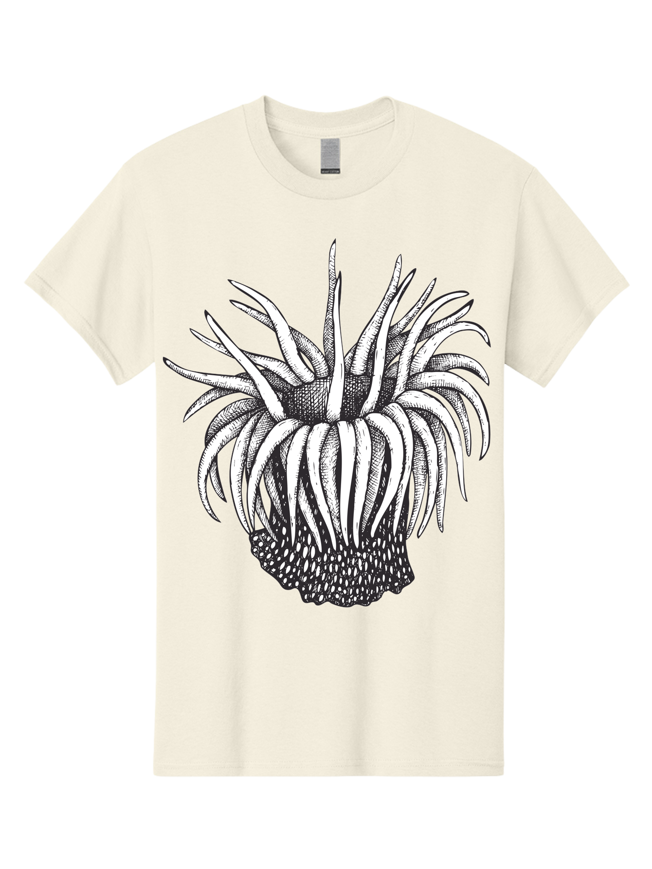 Dandelion Men'S Graphic Tee, 100% Cotton, Comfortable Casual Summer Wear, Machine Washable, Thistle Flower, Wildflower, Black And White Illustration, Botanical Art, Floral Design, Intricate Details, Spiky Petals Aad692