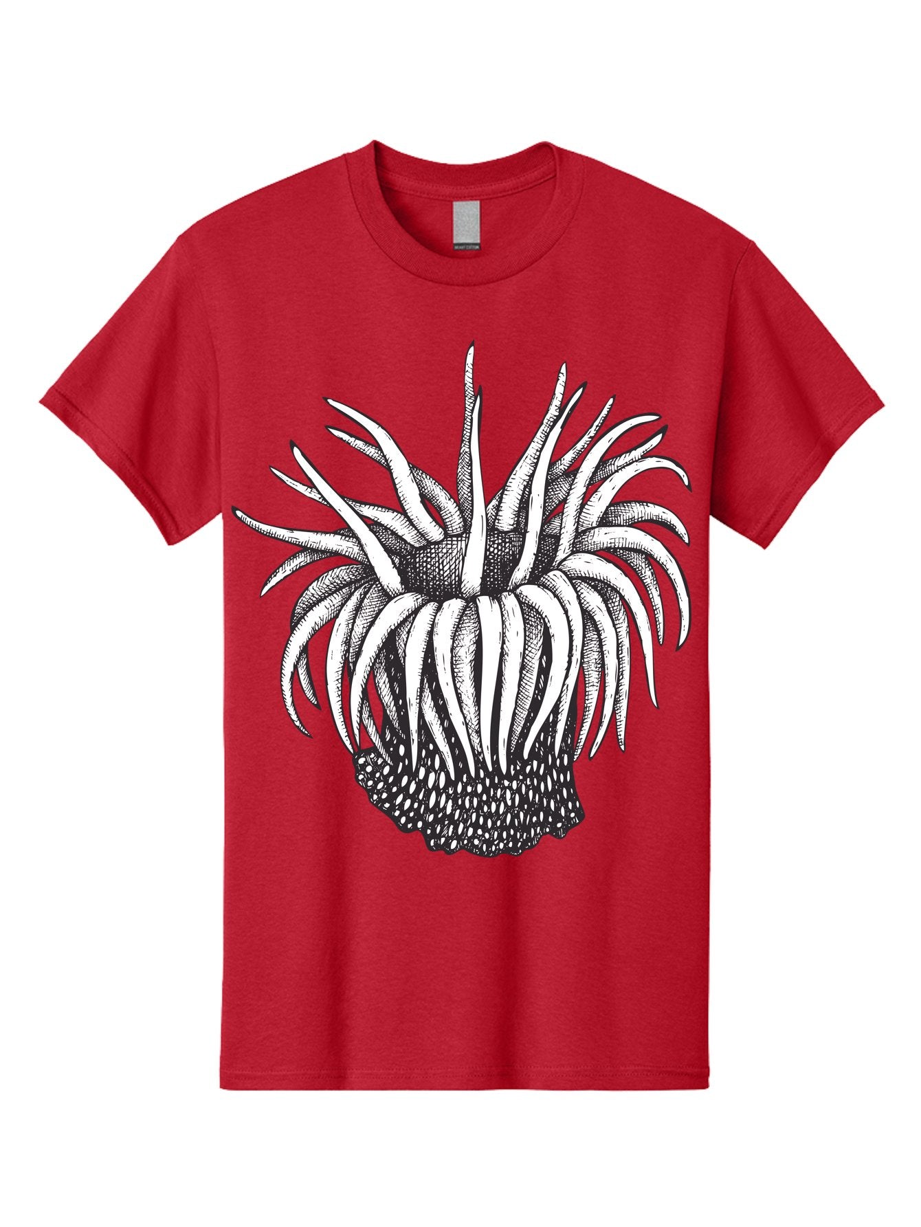 Dandelion Men'S Graphic Tee, 100% Cotton, Comfortable Casual Summer Wear, Machine Washable, Thistle Flower, Wildflower, Black And White Illustration, Botanical Art, Floral Design, Intricate Details, Spiky Petals Aad692 4