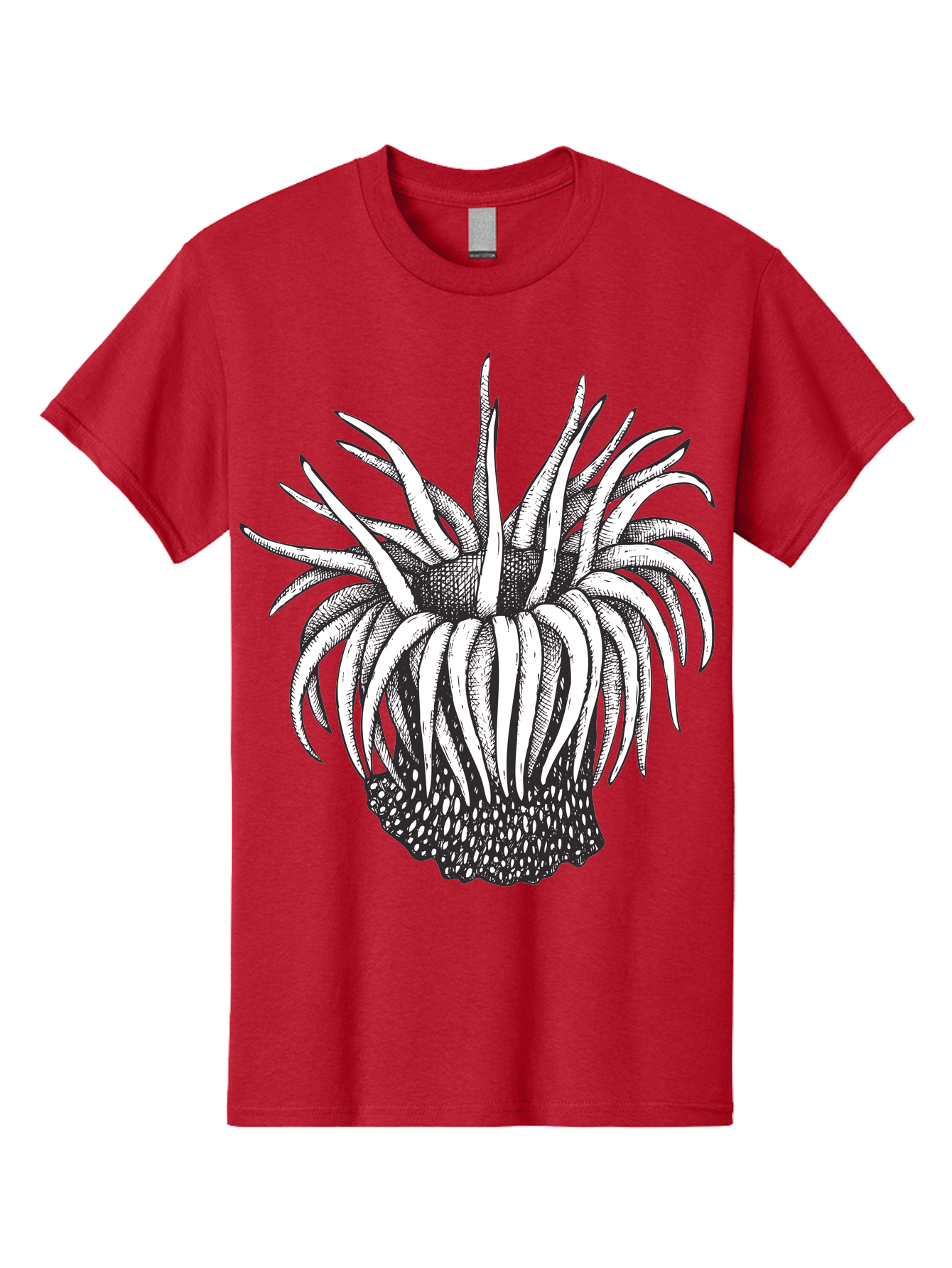 Dandelion Men'S Graphic Tee, 100% Cotton, Comfortable Casual Summer Wear, Machine Washable, Thistle Flower, Wildflower, Black And White Illustration, Botanical Art, Floral Design, Intricate Details, Spiky Petals Aad692 23