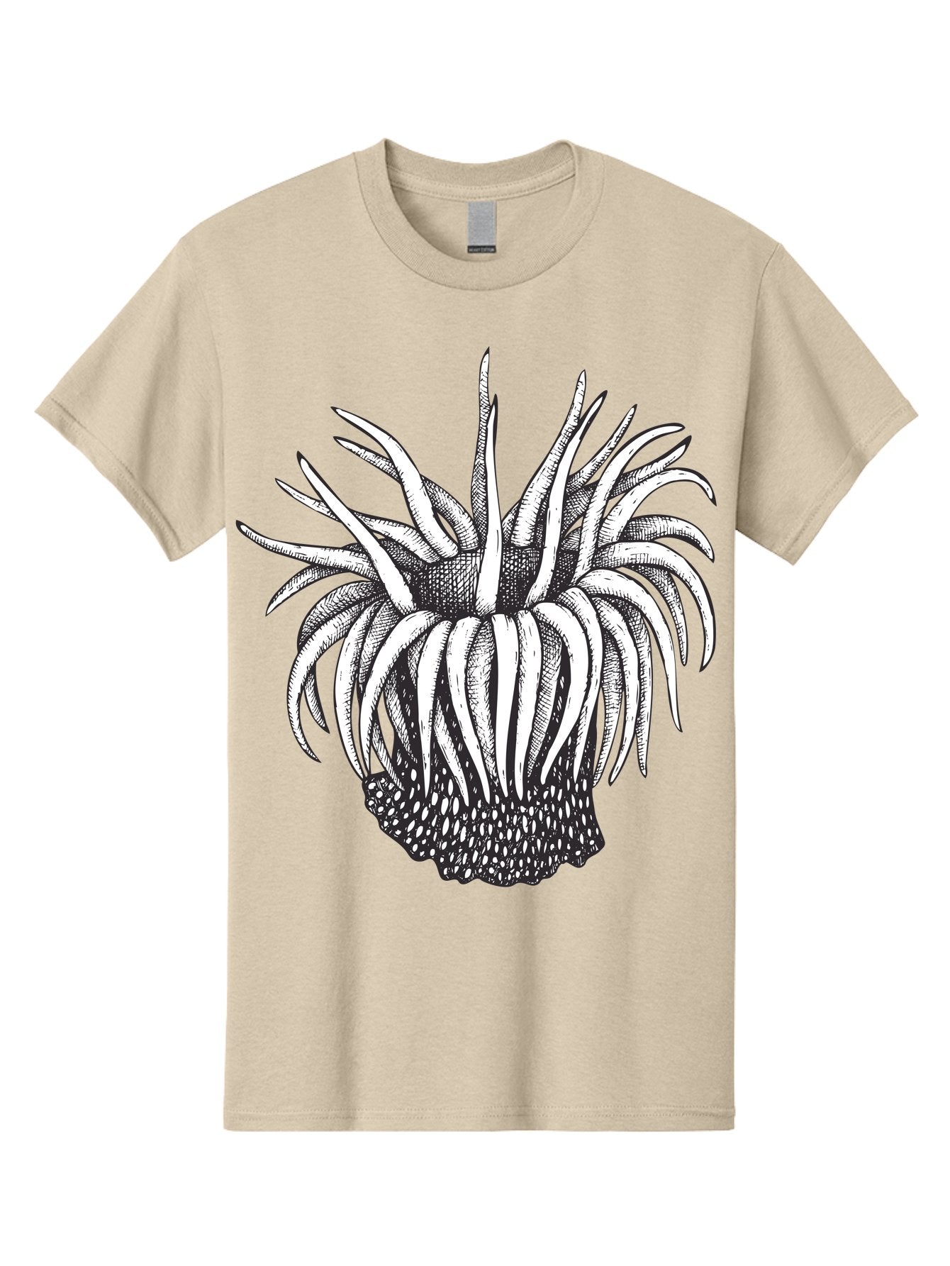 Dandelion Men'S Graphic Tee, 100% Cotton, Comfortable Casual Summer Wear, Machine Washable, Thistle Flower, Wildflower, Black And White Illustration, Botanical Art, Floral Design, Intricate Details, Spiky Petals Aad692 12