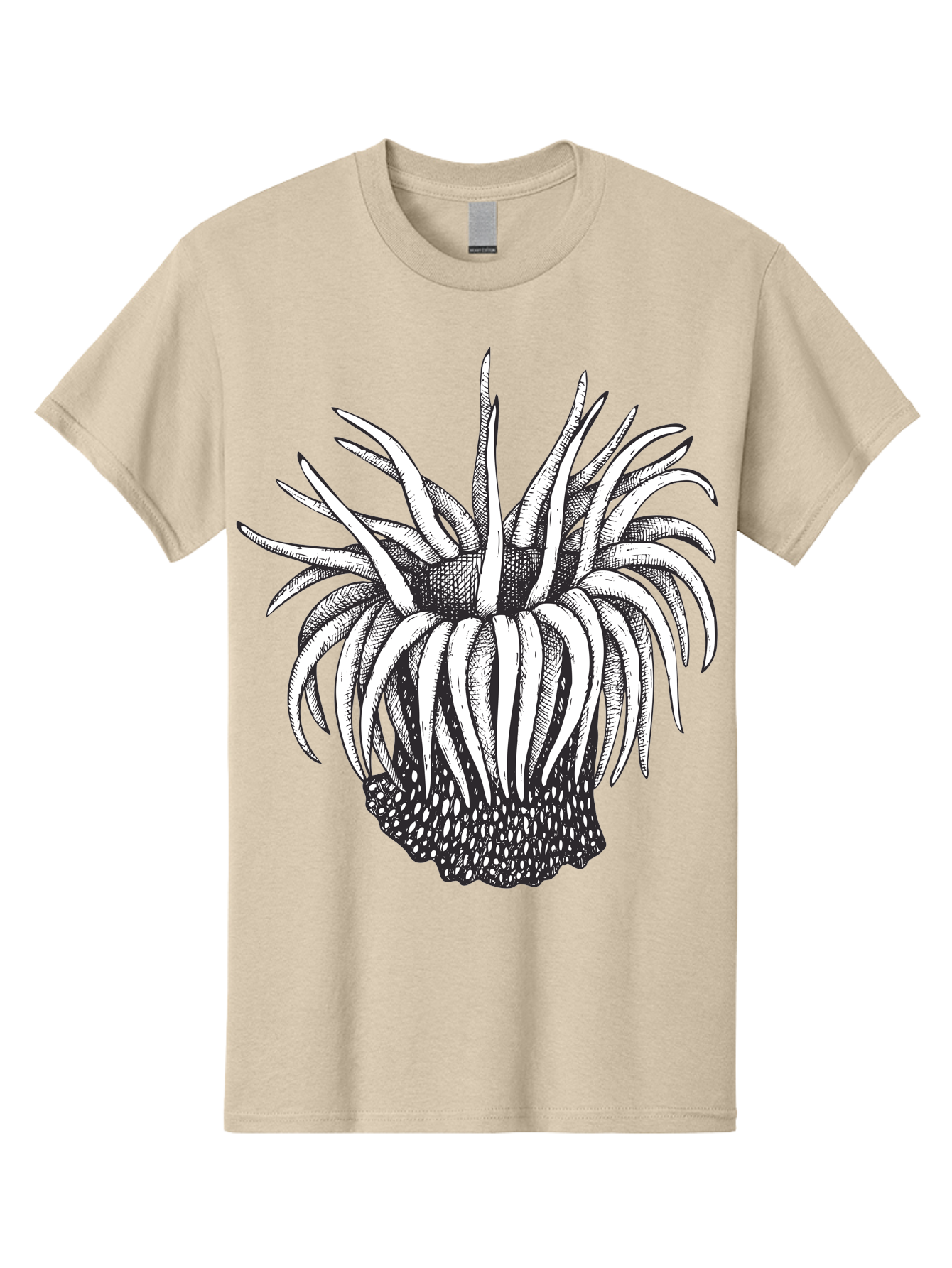 Dandelion Men'S Graphic Tee, 100% Cotton, Comfortable Casual Summer Wear, Machine Washable, Thistle Flower, Wildflower, Black And White Illustration, Botanical Art, Floral Design, Intricate Details, Spiky Petals Aad692 5