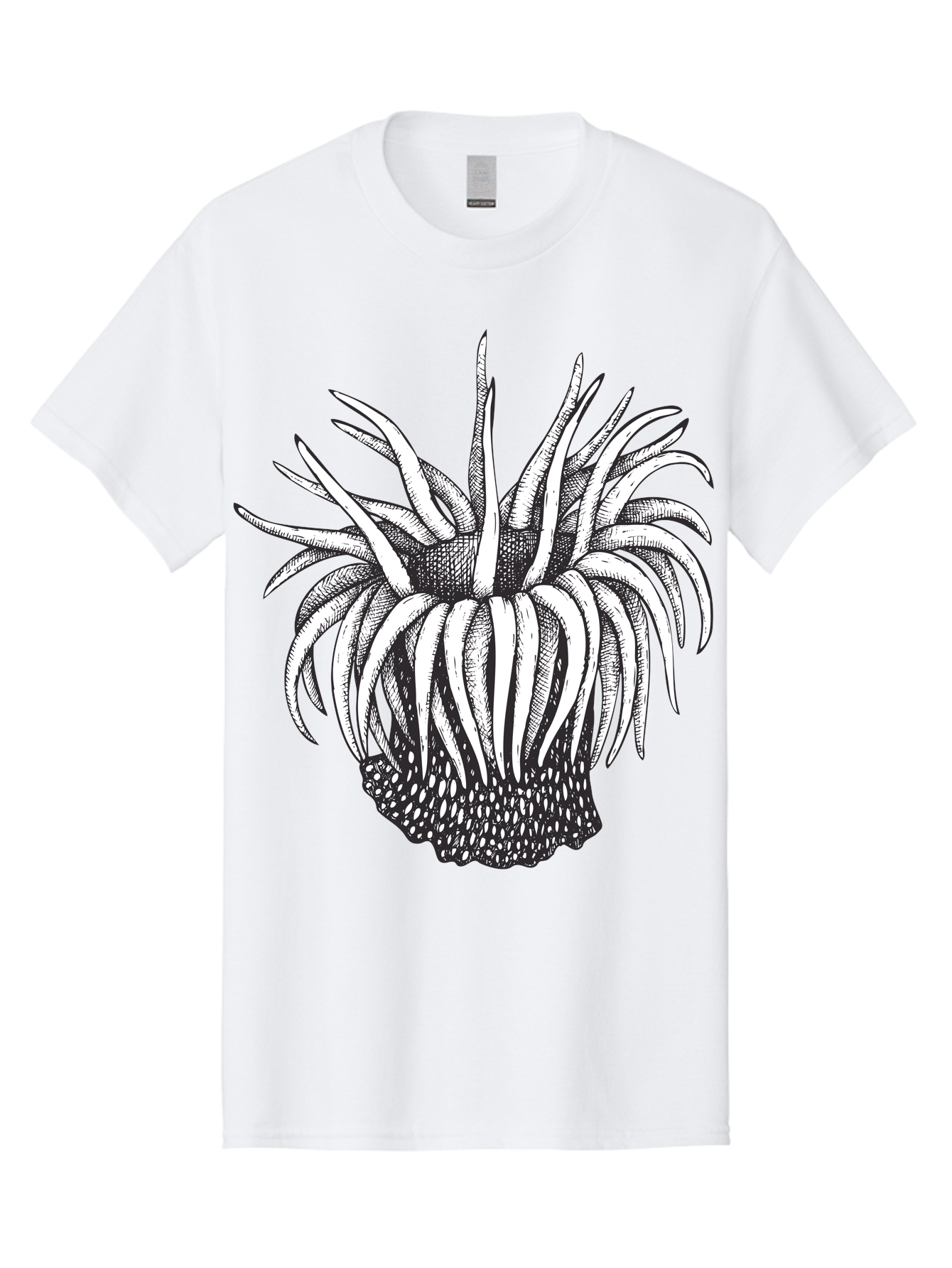 Dandelion Men'S Graphic Tee, 100% Cotton, Comfortable Casual Summer Wear, Machine Washable, Thistle Flower, Wildflower, Black And White Illustration, Botanical Art, Floral Design, Intricate Details, Spiky Petals Aad692 15