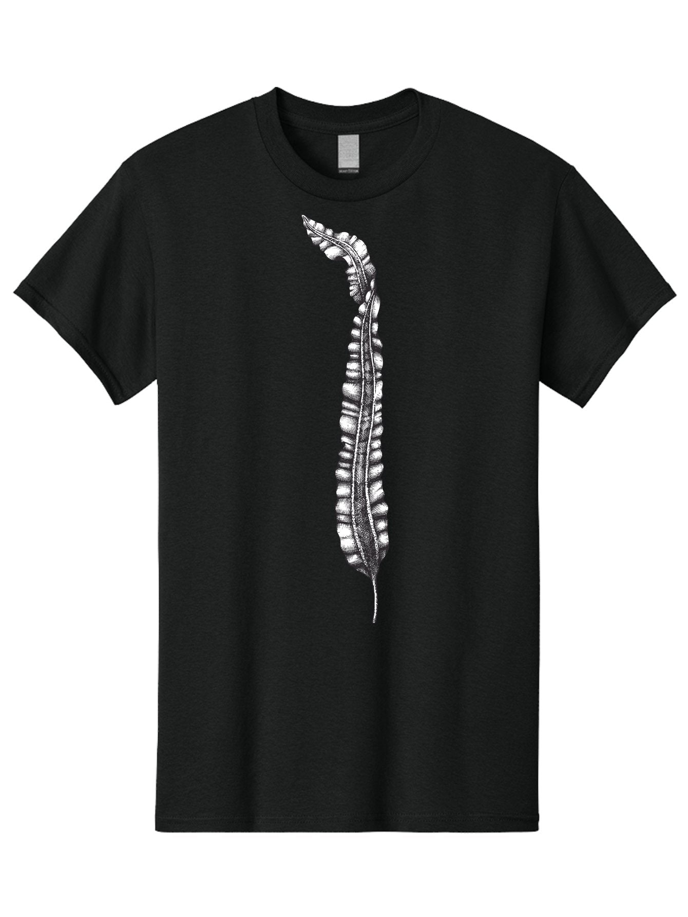 Paleodictyon Men'S Graphic Tee, 100% Cotton, Comfortable Casual Summer Wear, Machine Washable, Black And White Centipede, Detailed Illustration, Many Legs, Invertebrate Animal, Creepy Crawlers, Entomology Art, Detailed Drawing Aad727 5