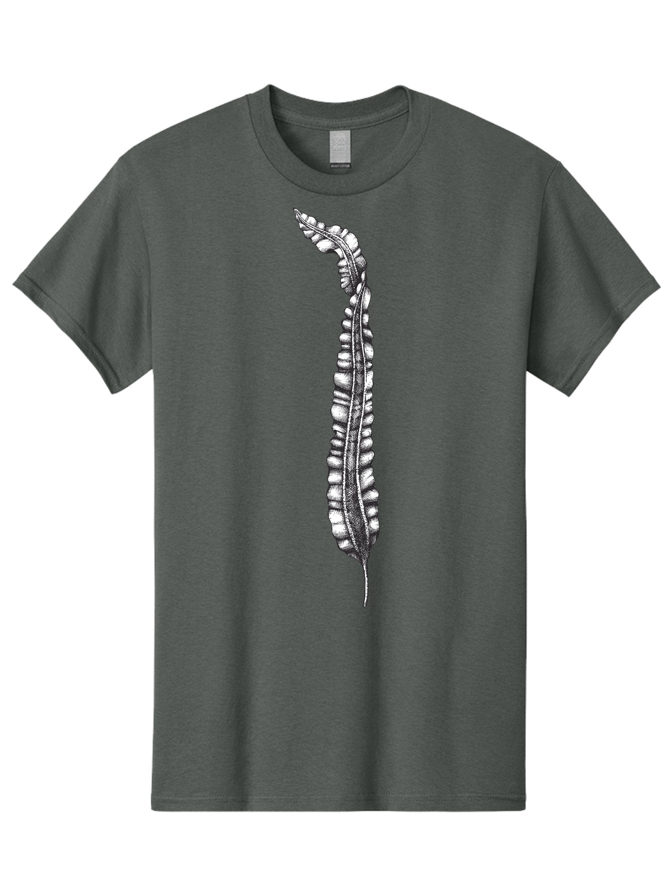Paleodictyon Men'S Graphic Tee, 100% Cotton, Comfortable Casual Summer Wear, Machine Washable, Black And White Centipede, Detailed Illustration, Many Legs, Invertebrate Animal, Creepy Crawlers, Entomology Art, Detailed Drawing Aad727 14